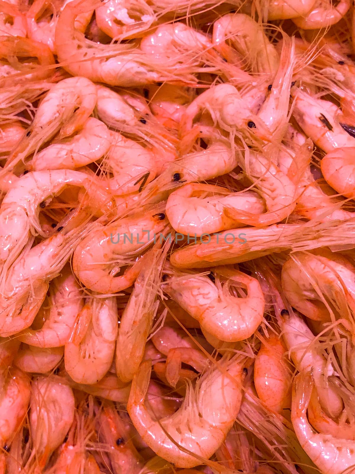 Fresh prawn shrimps on ice for sale at fish market by FreeProd