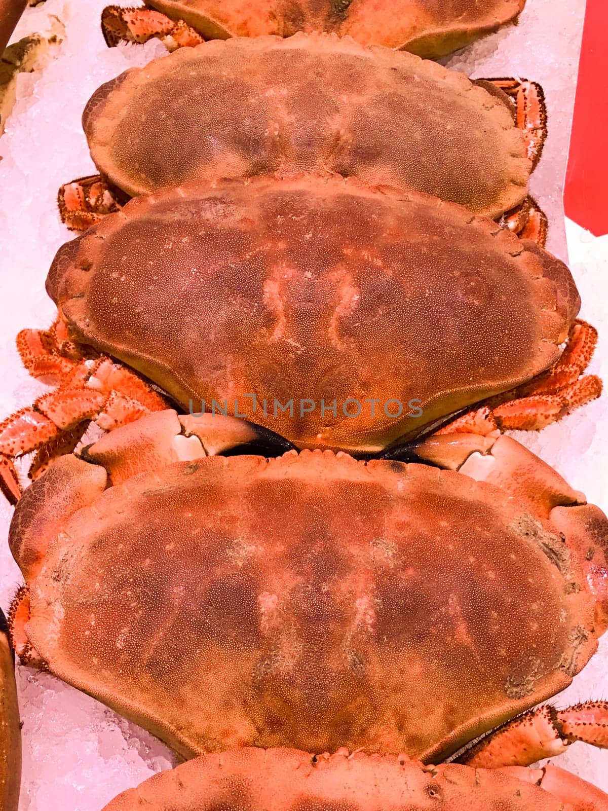 Cooked crabs for sale in the supermarket, Seafood by FreeProd
