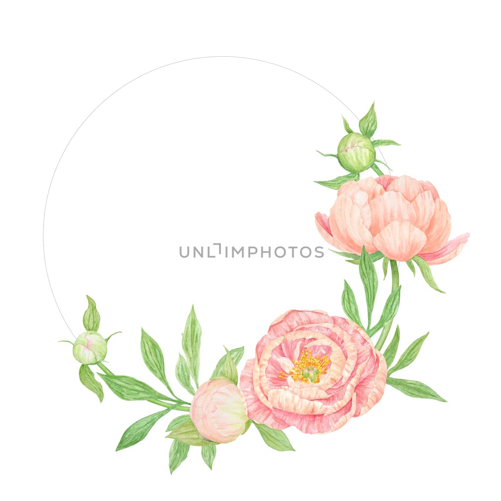 Peach peony watercolor hand drawn painting. Realistic flower clipart, floral arrangement. Chinese national symbol illustration. Perfect for card design, wedding invitation, prints, textile, packing.