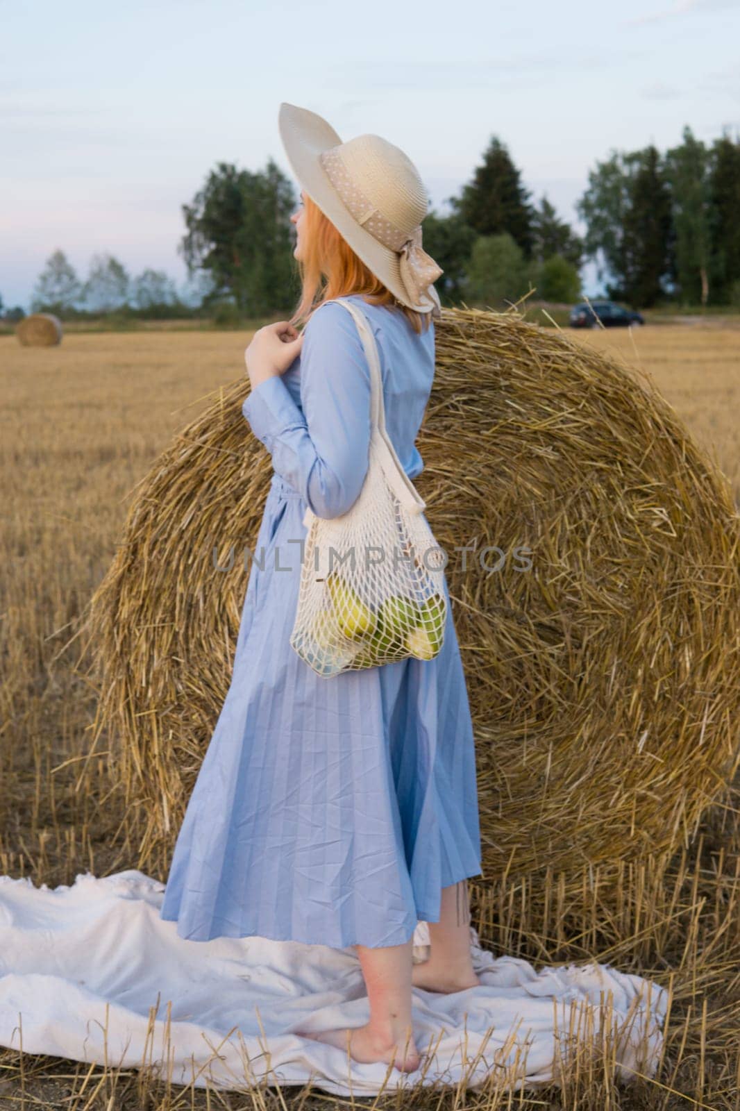 A red-haired woman in a hat and a blue dress walks in a field with haystacks. by Annu1tochka