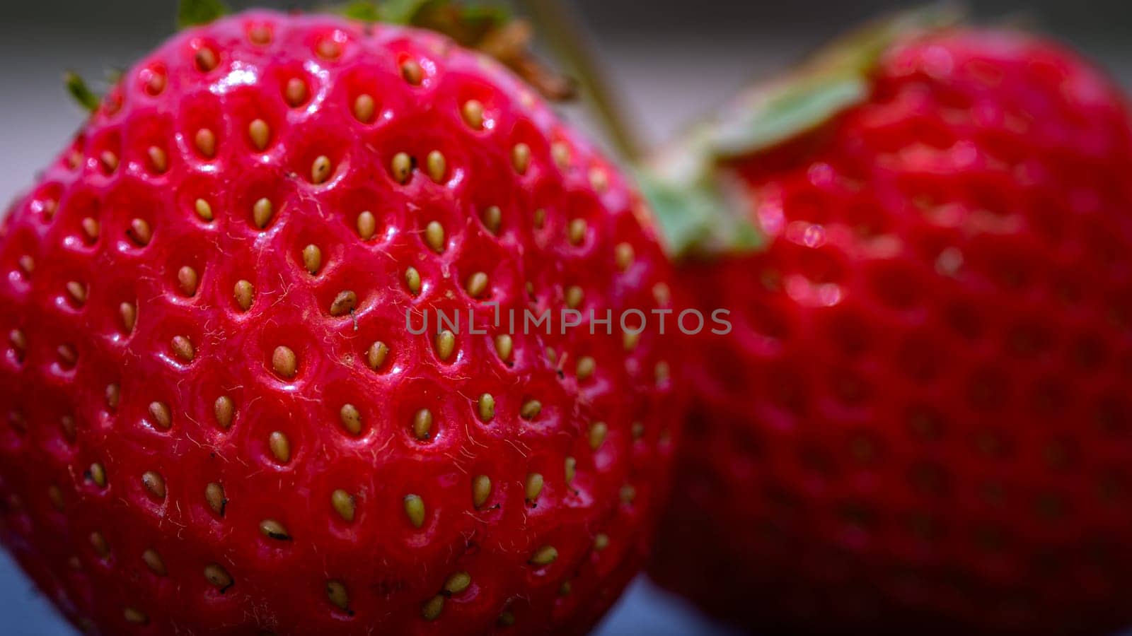 Close up of fresh strawberries showing seeds achenes. Details of fresh ripe red strawberries.