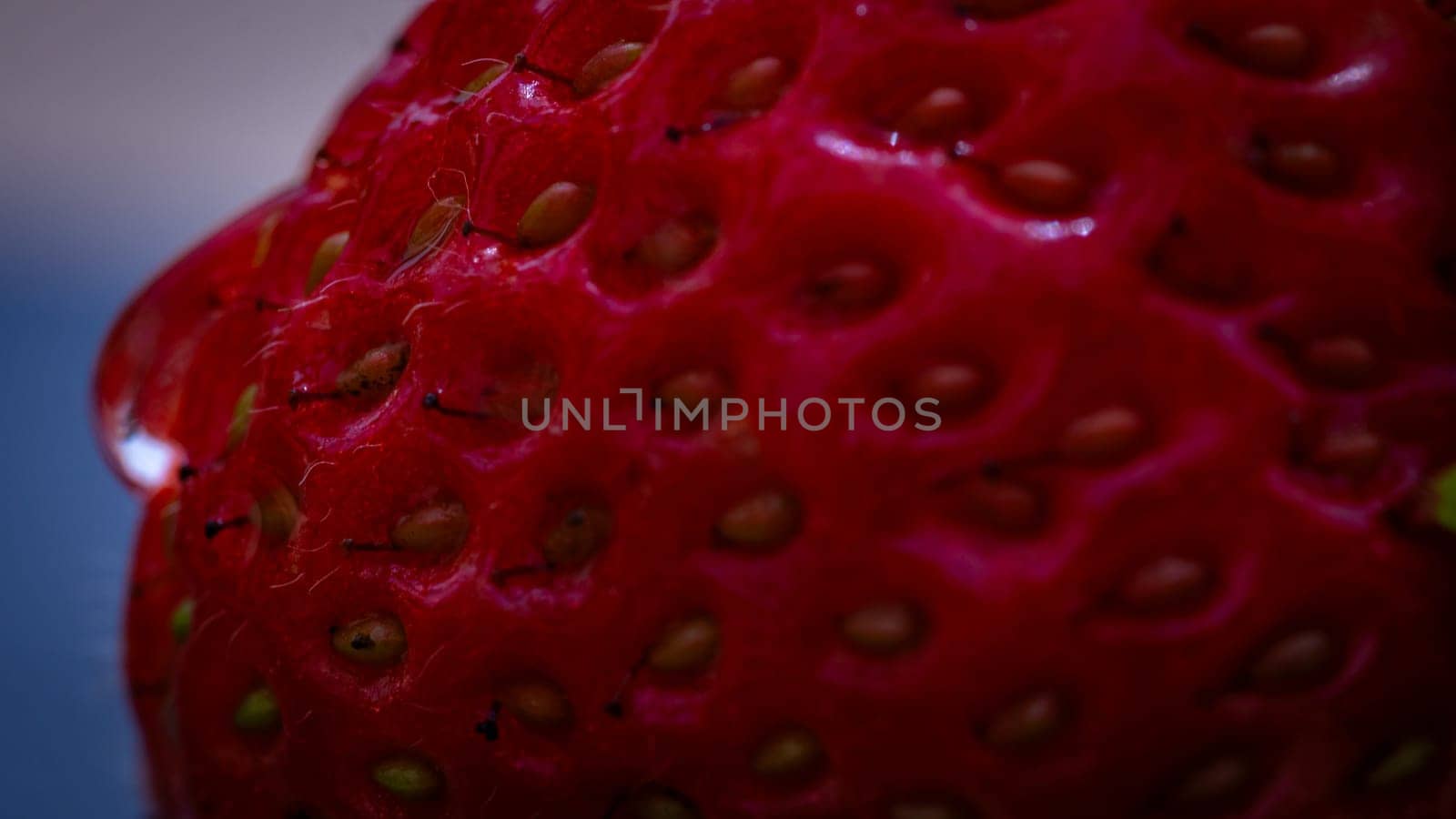 Close up of fresh strawberry showing seeds achenes. Water drop on fresh ripe red strawberry.