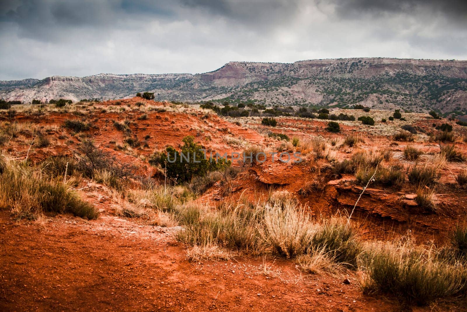Cloudy Day at Palo Duro Canyon State Park, Texas