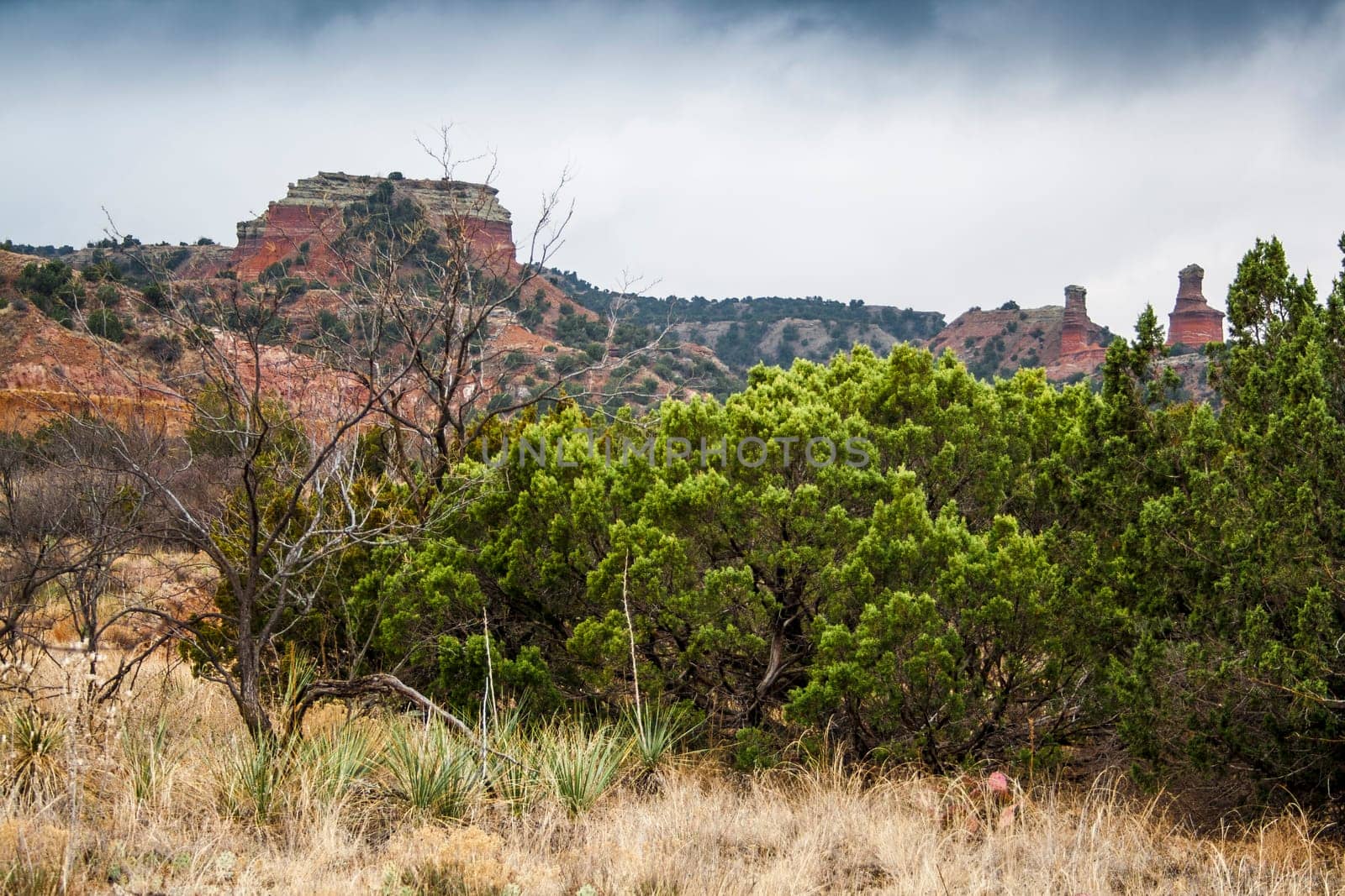 Cloudy Day at Palo Duro Canyon State Park, Texas