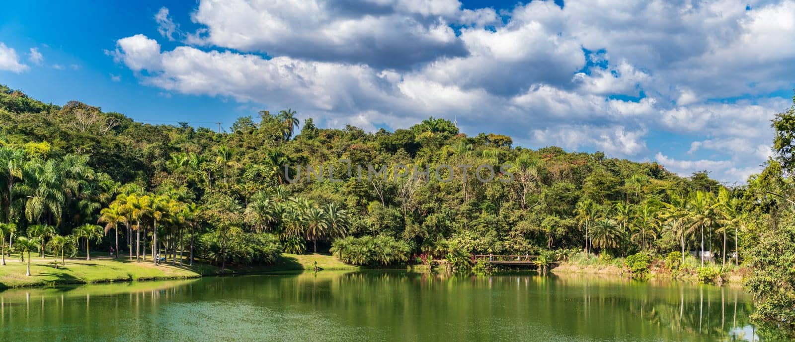 Serene Tropical Lake with Lush Greenery and Blue Sky by FerradalFCG