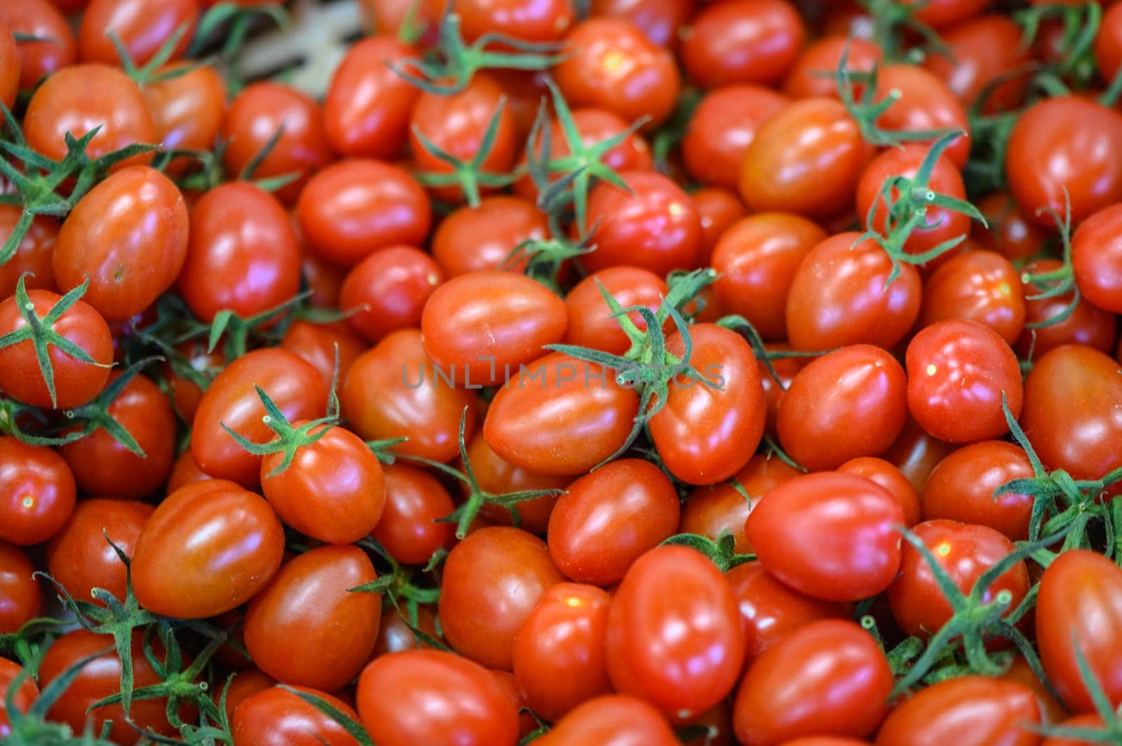 Cherry tomatoes in a box in a store in Cyprus