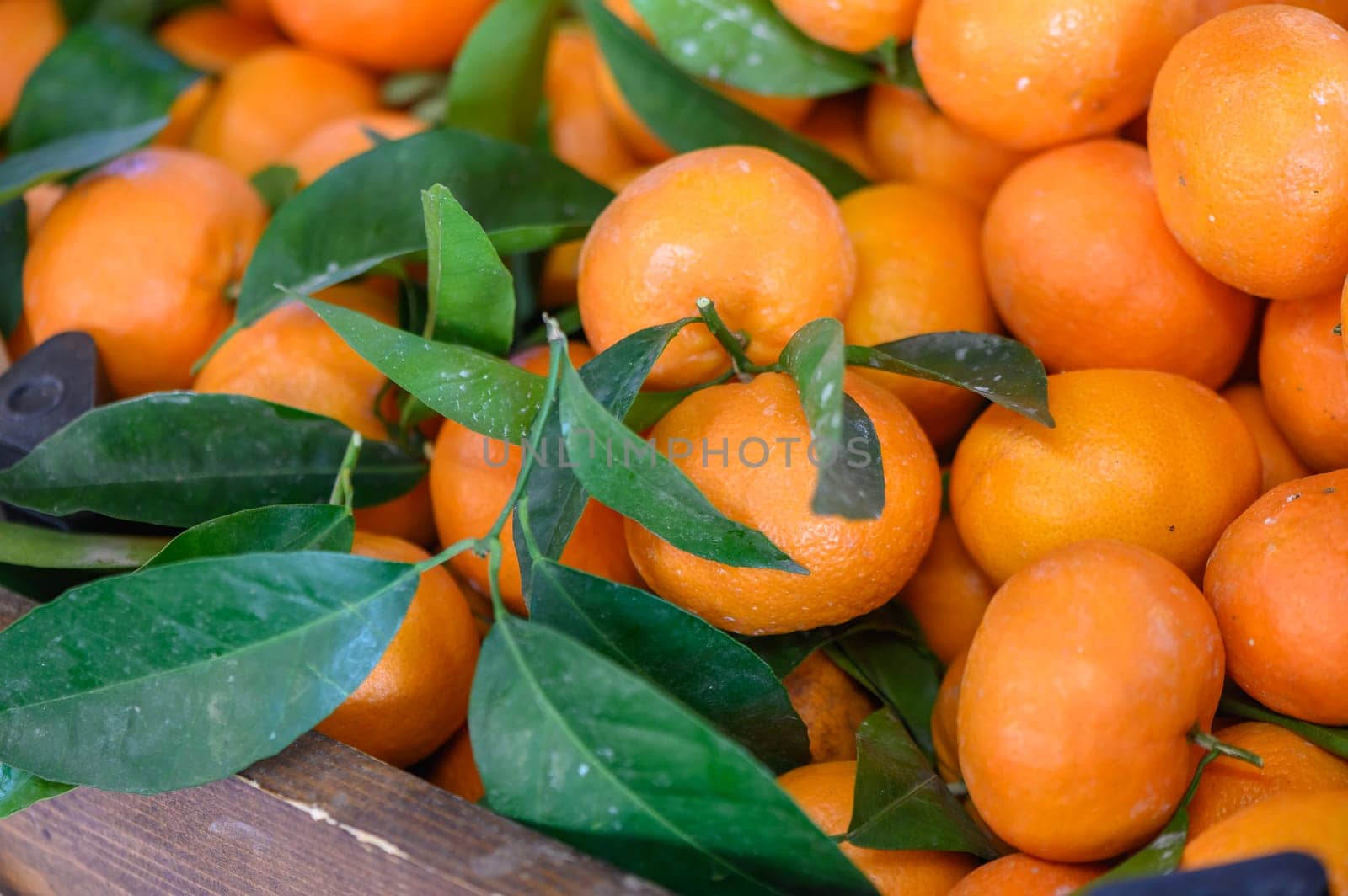 oranges in a box in a store in Cyprus