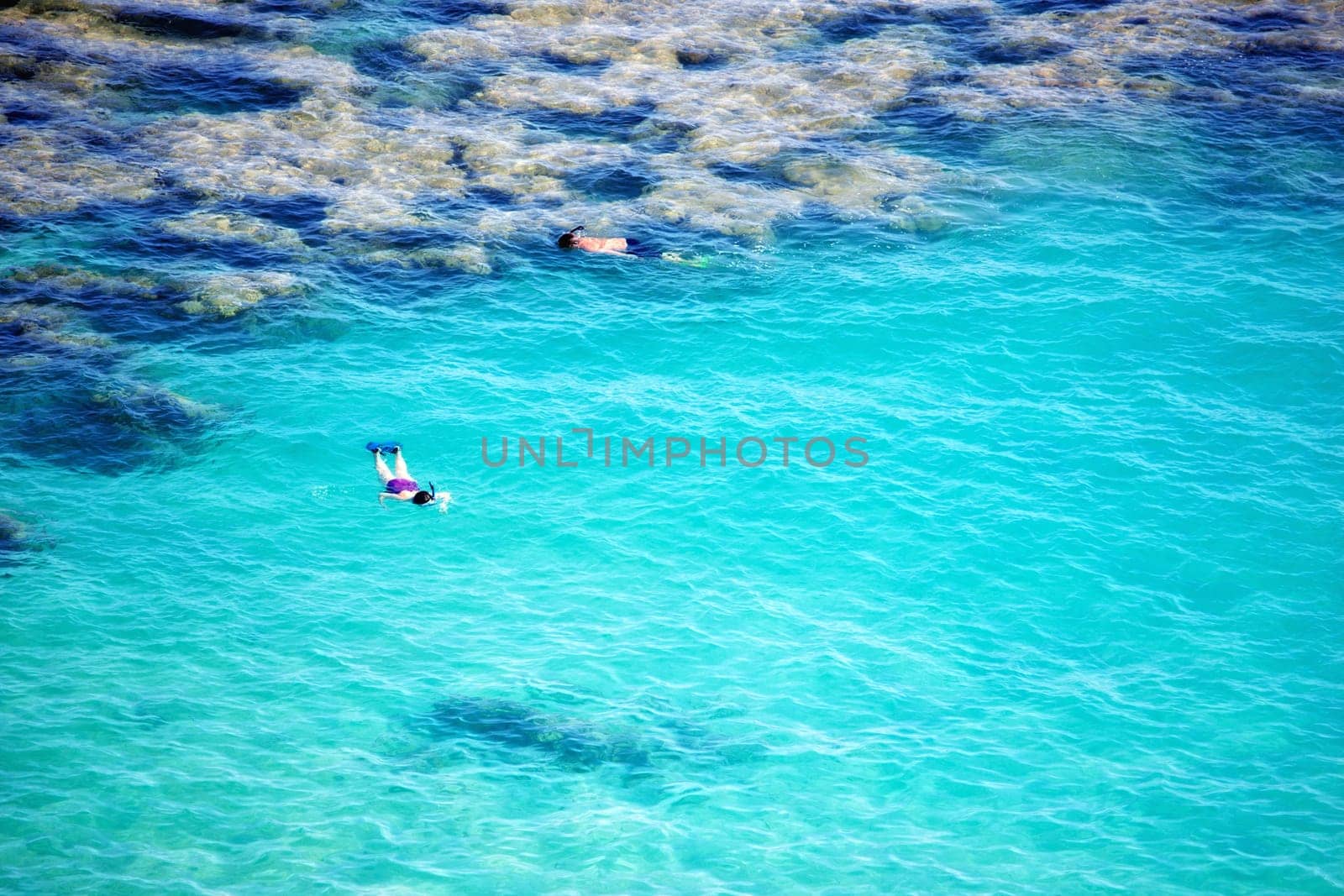 Water, drone and people with snorkeling at the beach for summer, vacation or swimming. Freedom, travel and aerial view of swimmer friends in the ocean exploring coral reef, seascape or environment by YuriArcurs