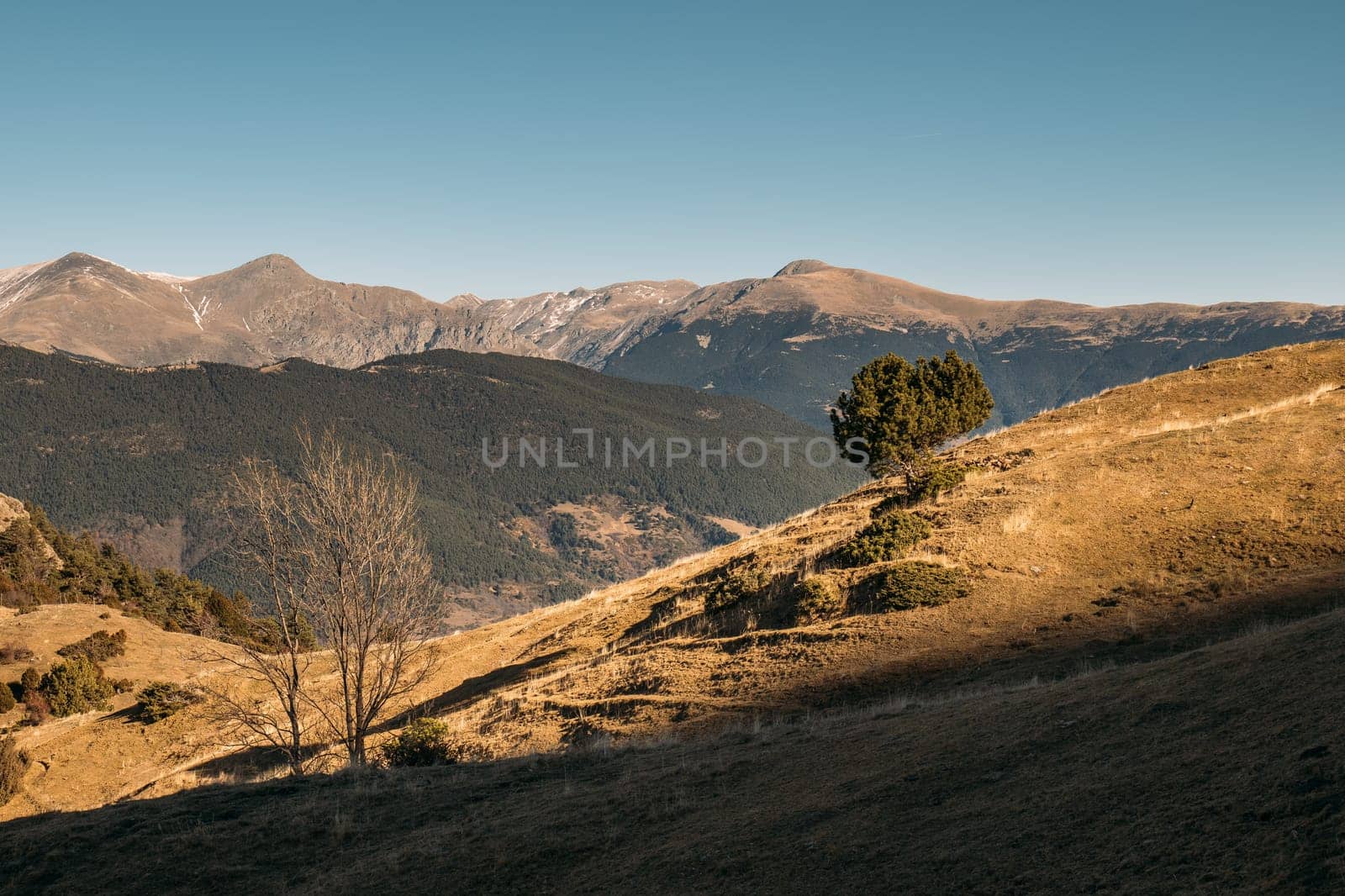 Golden Sunlight Casting Warm Tones Over a Peaceful Mountain by apavlin