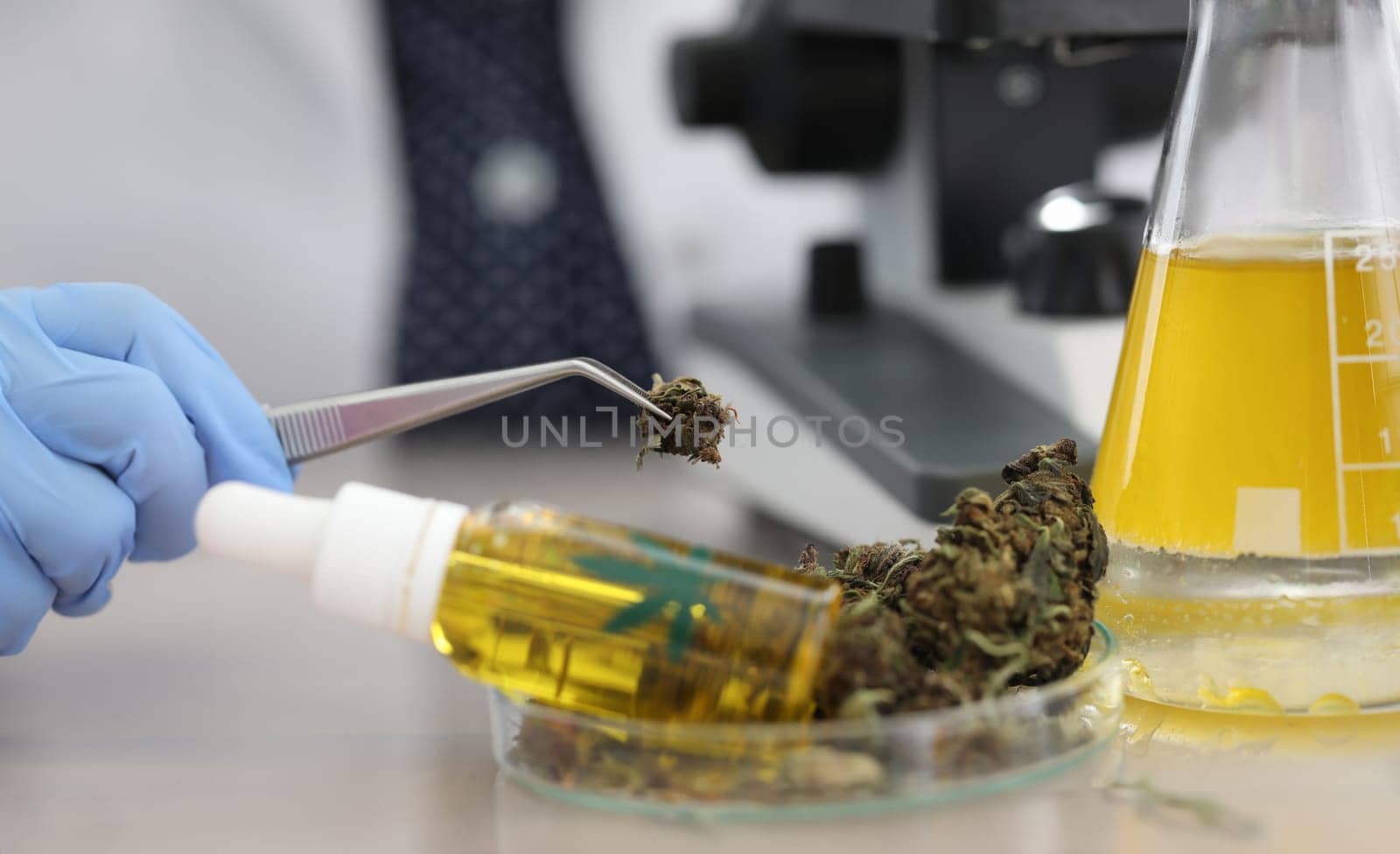 Cannabis samples on table in medical laboratory by kuprevich