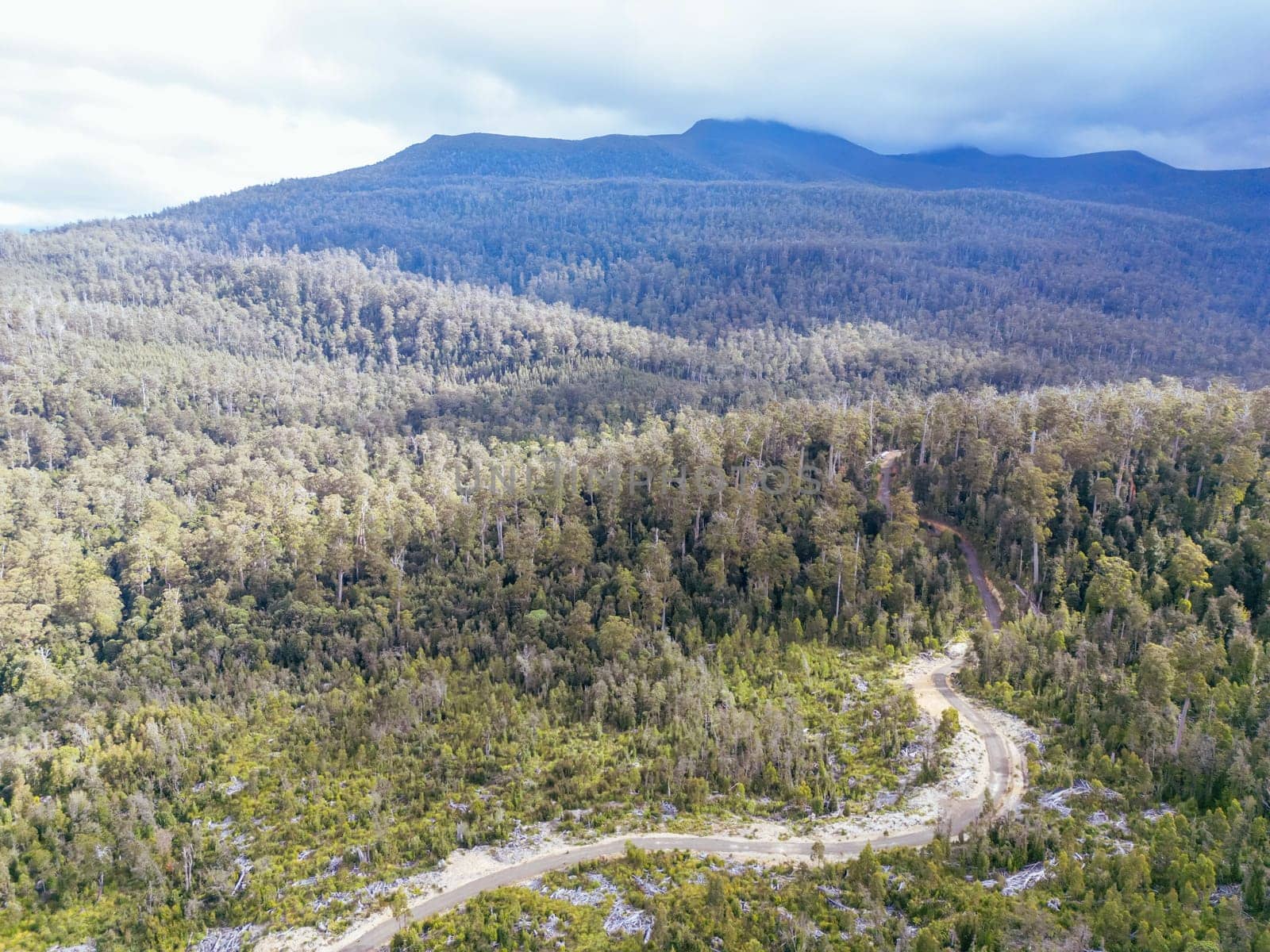 DOVER, AUSTRALIA - FEBRUARY 23: Forestry Tasmania continues logging of Southwest National Park near Dover, a World Heritage Area. This area contans old growth native forest, and home to the critically endangered Swift Parrot. Bob Brown Foundation continues to fight to protect these areas for both the environment and future generations. Images taken on February 23, 2024.