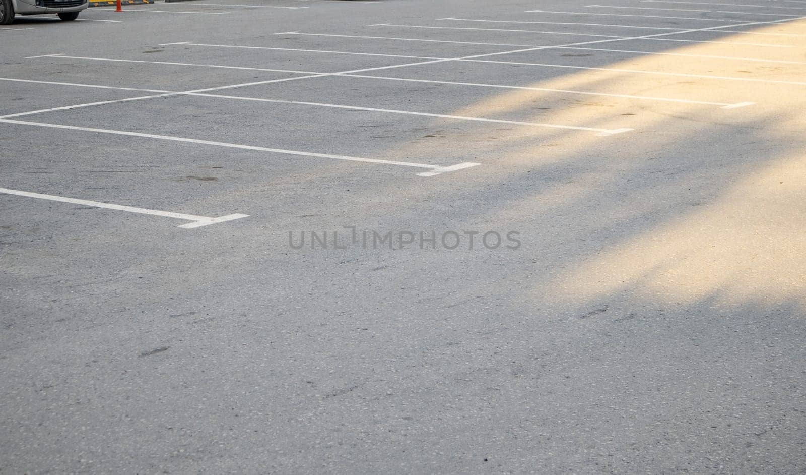 Car parking with white markings on the asphalt, close-up by claire_lucia