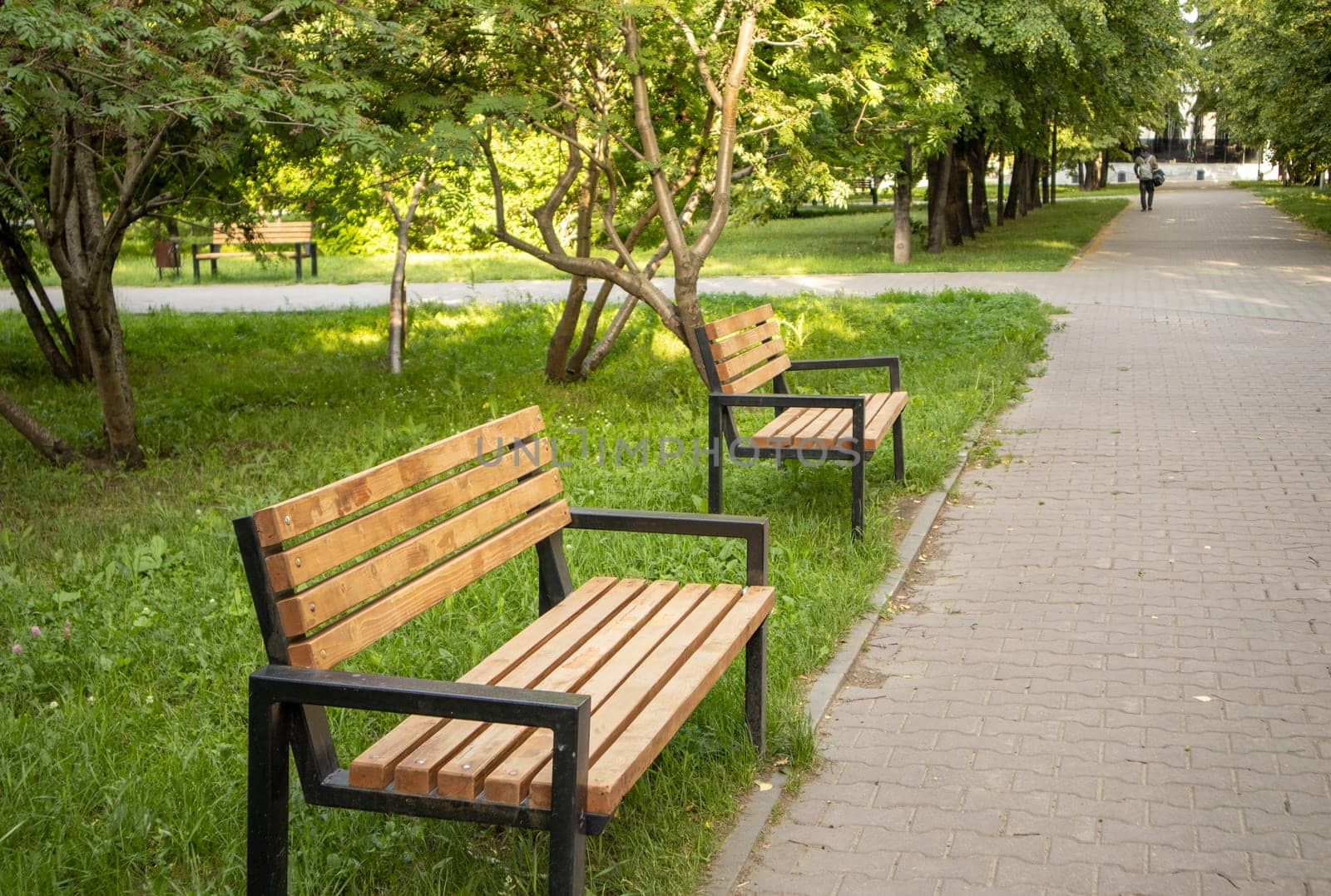 Two new wooden benches stand along the alley in the summer city park by claire_lucia
