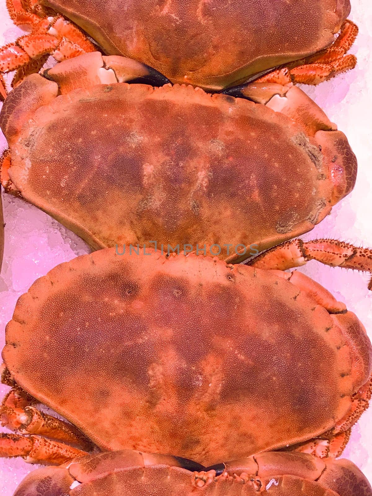 Cooked crabs for sale in the supermarket, Seafood by FreeProd