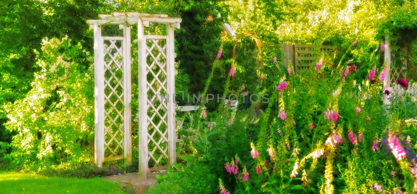 Flower, garden and arch with natural greenery in nature for venue, floral blossoms or outdoor bloom. Plants, wooden structure or empty backyard with growth, wooden frame or design for exterior decor by YuriArcurs
