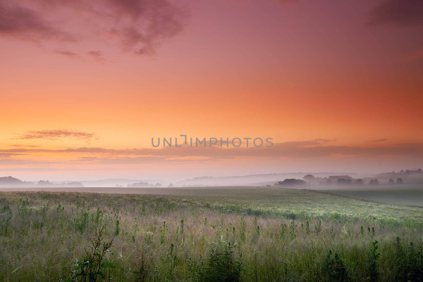 Sunset, nature and green field with mist on mountain, peace and plants in countryside in sustainable environment. Outdoor, travel and landscape of meadow in denmark and hiking destination for tourist.