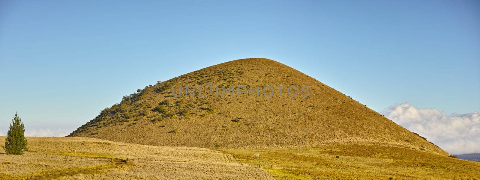 Dry, field and landscape of environment with hill or grass on Volcano, Mount Kea and nature in Hawaii. Mountain, countryside and travel in summer to hillside with blue sky, clouds and tree in bush.