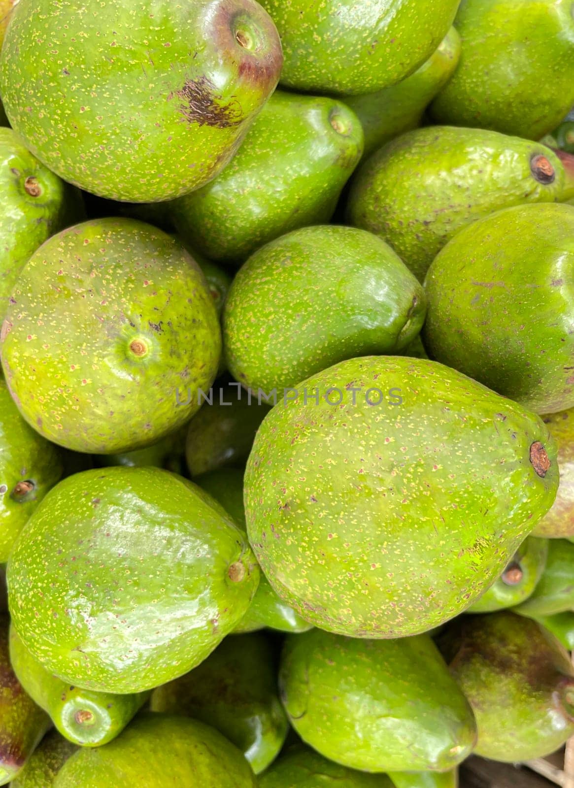 bunch of green avocados at the local market. healthy fresh fruit for salad or juice