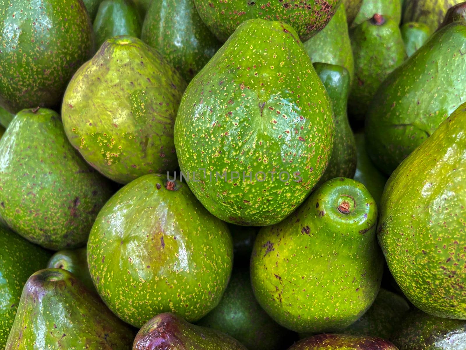bunch of green avocados at the local market. healthy fresh fruit for salad or juice