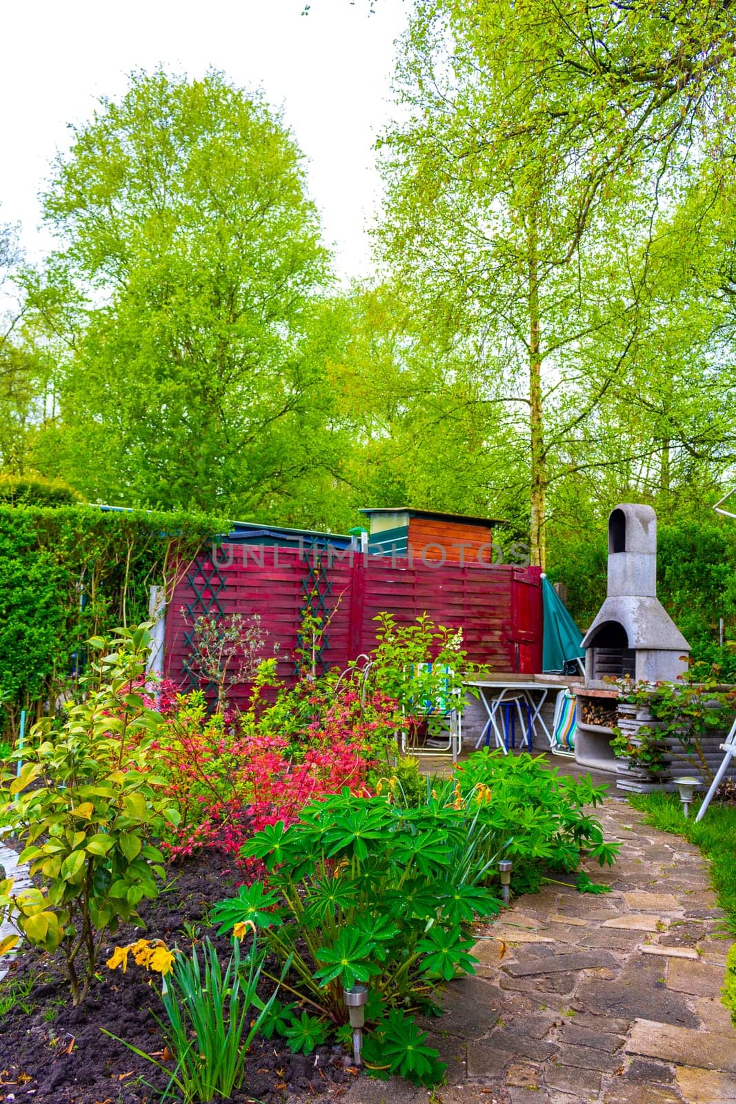 Green Garden with trees plants hut compost beds lawn and barbecue area in Leherheide Bremerhaven Bremen Germany.