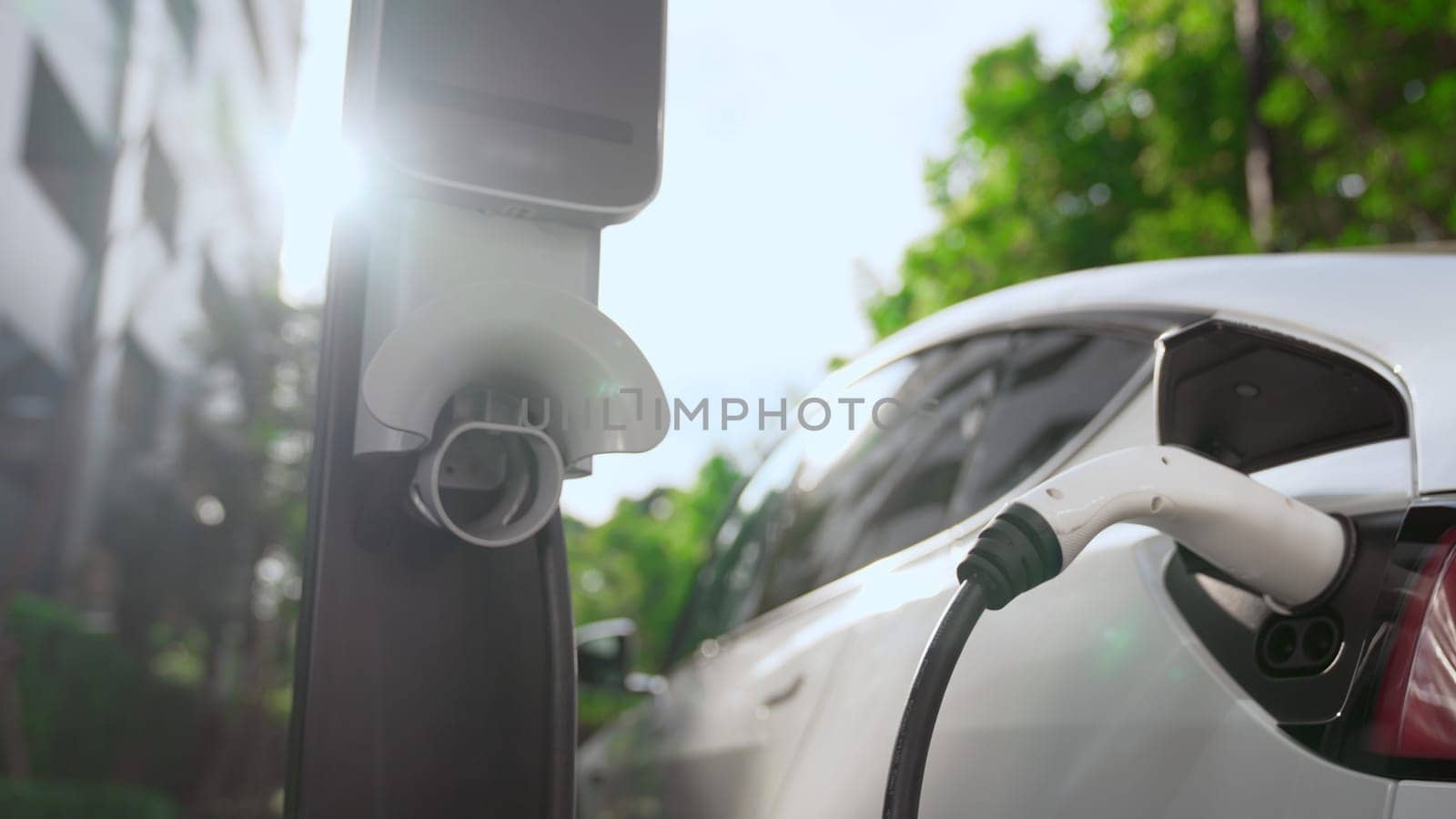 EV electric car charging in green sustainable city outdoor garden in summer. Urban sustainability lifestyle by green clean rechargeable energy of electric BEV vehicle innards