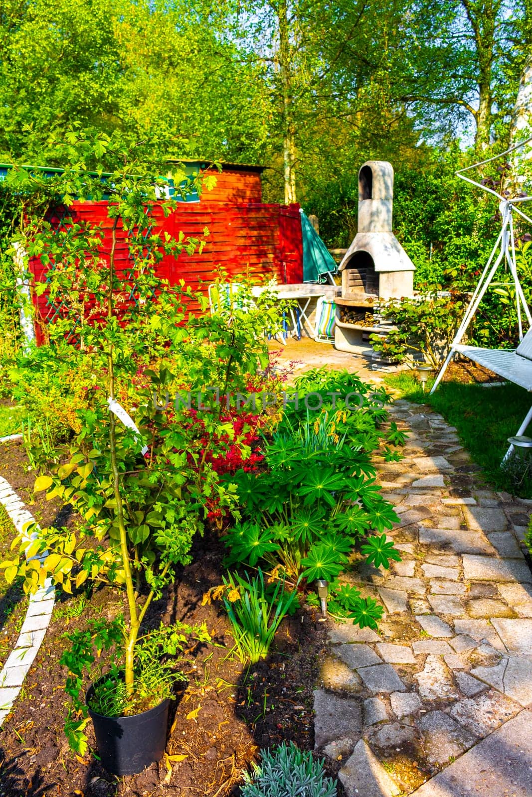 Garden with trees plants hut compost beds lawn in Germany. by Arkadij