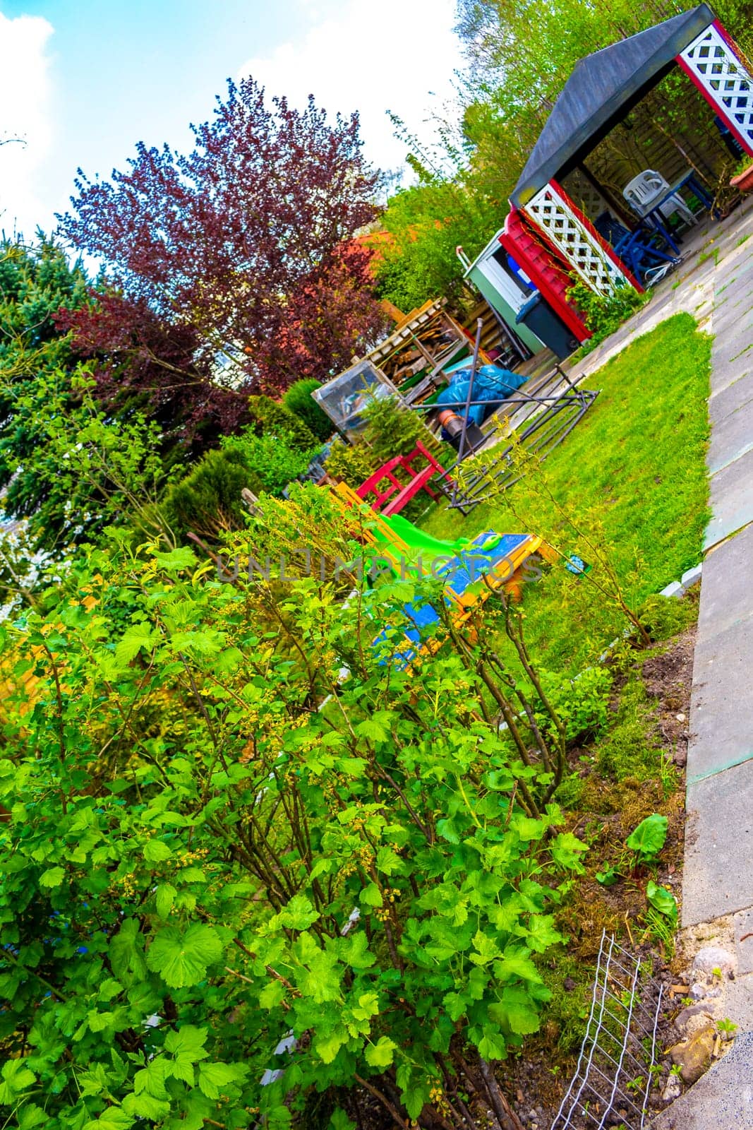 Green Garden with trees plants hut compost beds lawn and barbecue area in Leherheide Bremerhaven Bremen Germany.