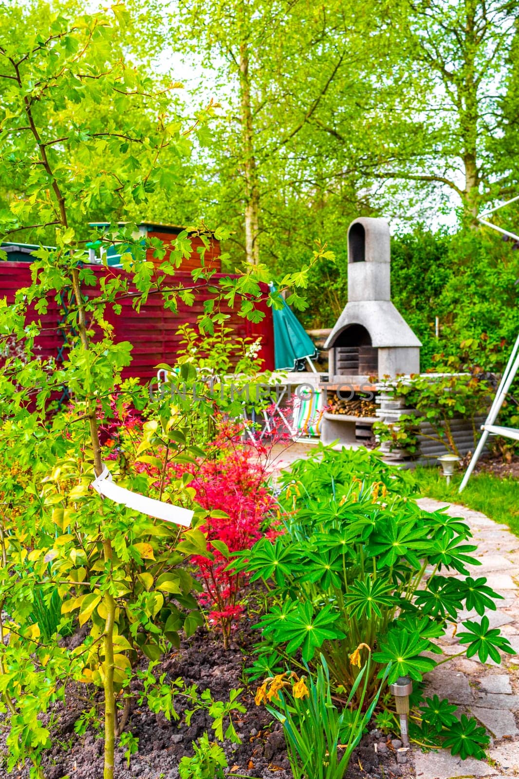 Green Garden with trees plants hut compost beds lawn and barbecue area in Leherheide Bremerhaven Bremen Germany.