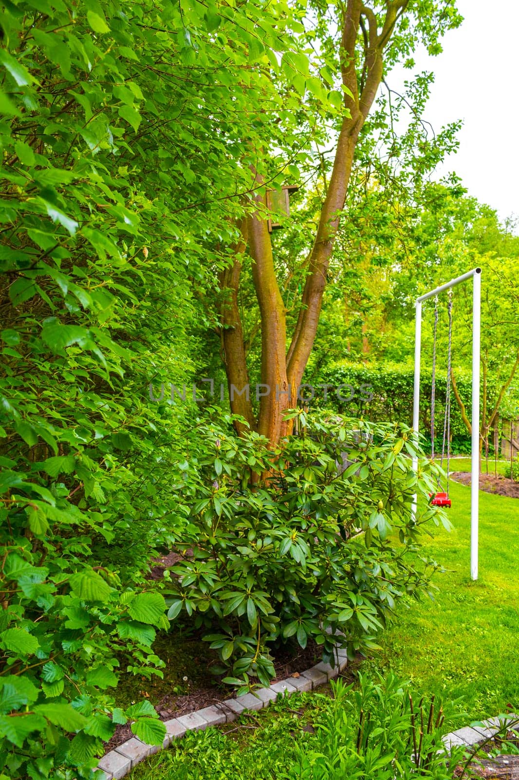 Green Garden with trees plants hut compost beds lawn and barbecue area in Leherheide Bremerhaven Bremen Germany.