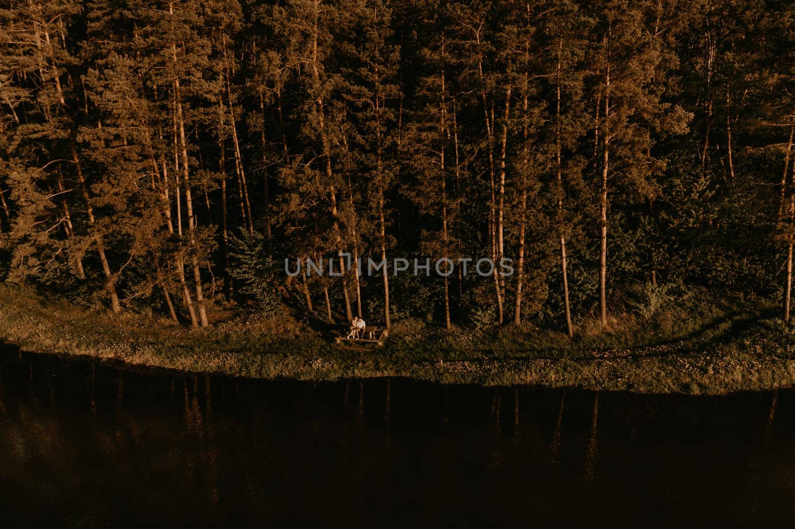 Aerial drone view happy married couple mature people together for long time, secret of strong family relationships, husband wife together in harmony. middle-aged couple walking in nature at summer