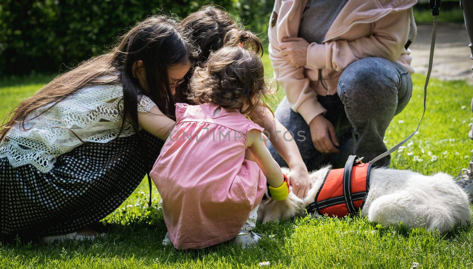 Portrait of three caucasian girls playing and stroking a white dog lying on a lawn in a public park on a sunny summer day,