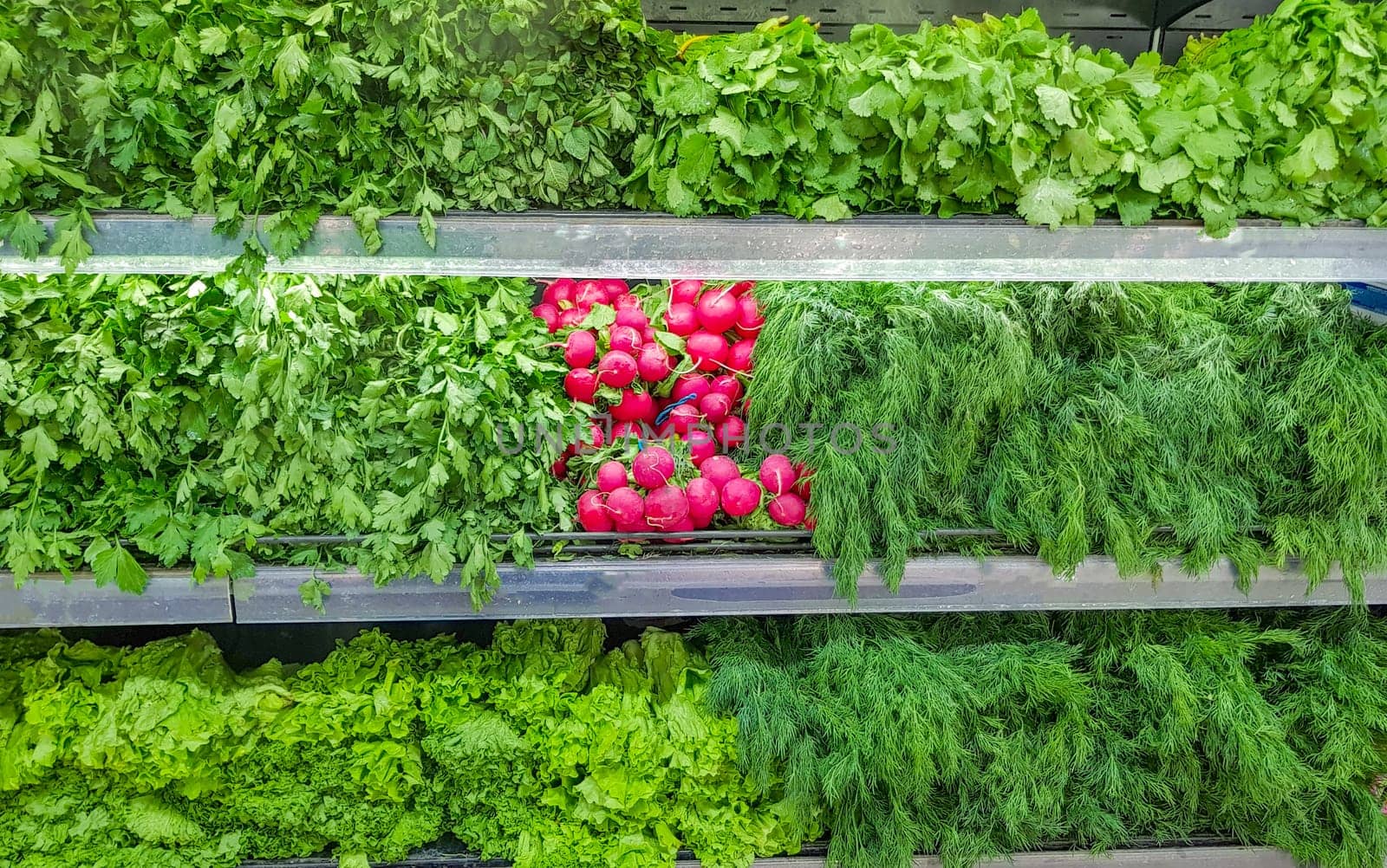 A large selection of fresh herbs and vegetables on the counter. Green dill, red radish, lettuce leaves, curly parsley, mint, fresh basil, zucchini and other products.