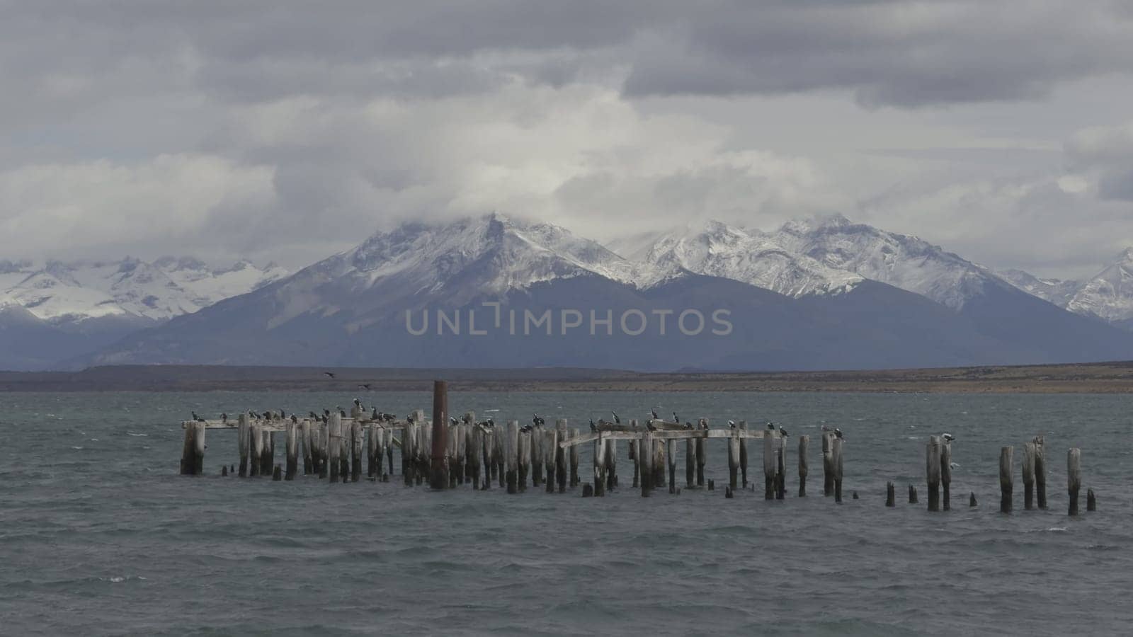 Deserted wooden pier in Puerto Natales with birds and a backdrop of snowy mountains and glaciers.