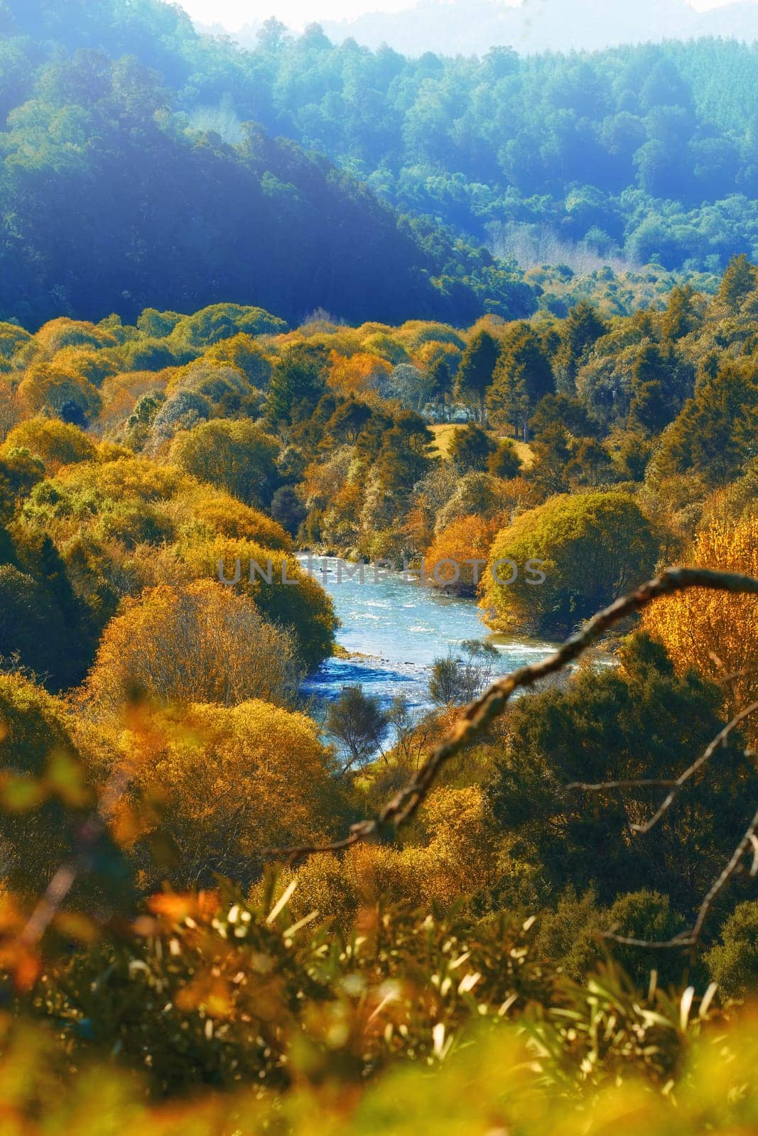 Autumn, river and valley or landscape in countryside with trees, forest and environment in New Zealand. Agriculture, stream and woods for sustainability, scenery and location outdoor for ecology.