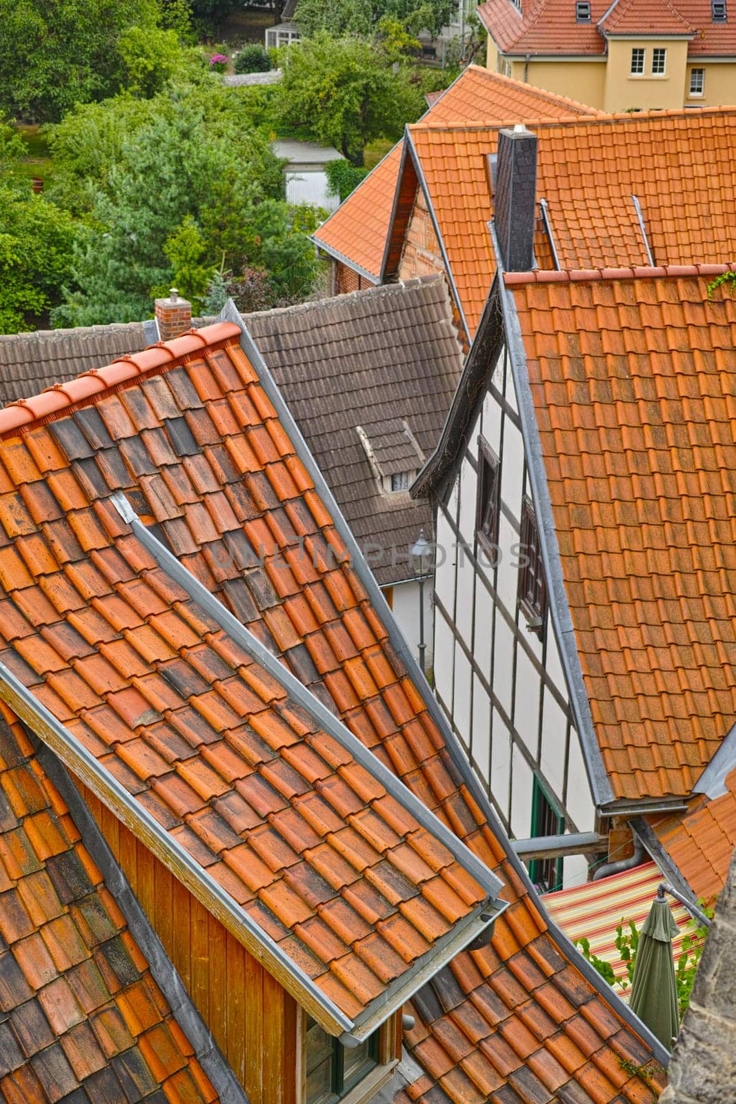 Rooftop, houses and architecture of property outdoor in the countryside for travel in New Zealand. Roof, exterior and homes at a village, real estate and vintage building by neighborhood with trees.