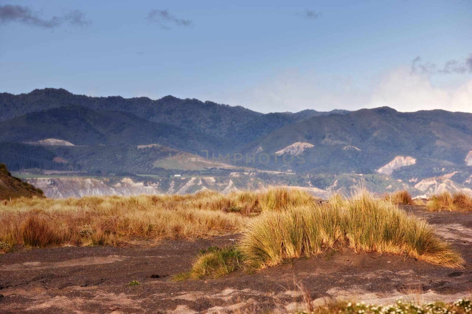 Wilderness, nature or hill on landscape in countryside on field, grass or mountain environment in New Zealand. Agriculture, land or sky for sustainability, scenery or location on foliage for ecology.