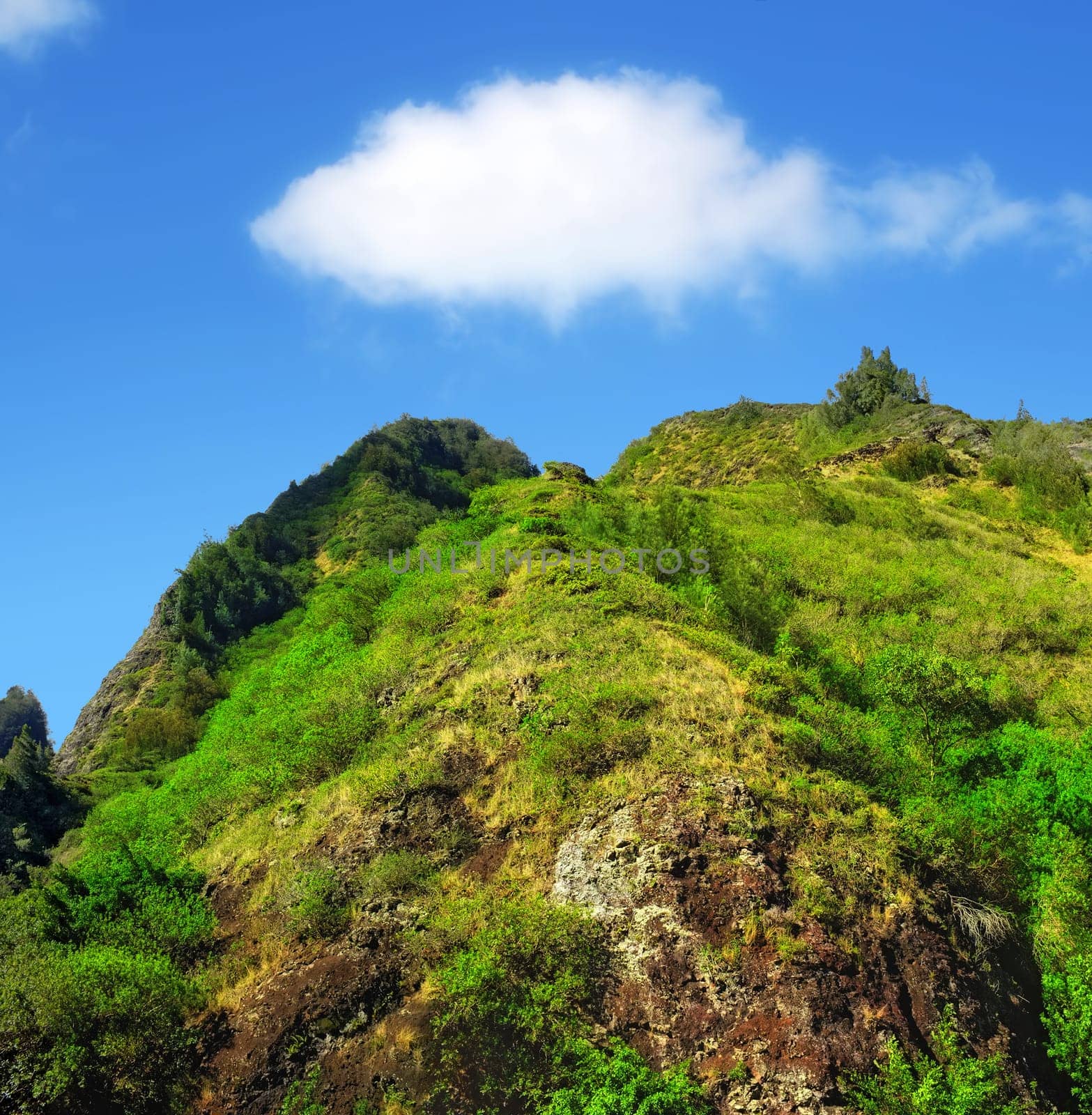 Mountain, forest and natural landscape with blue sky, summer and calm clouds on peak at travel location. Nature, cliff and sustainable environment with earth, Hawaii and tropical holiday destination.