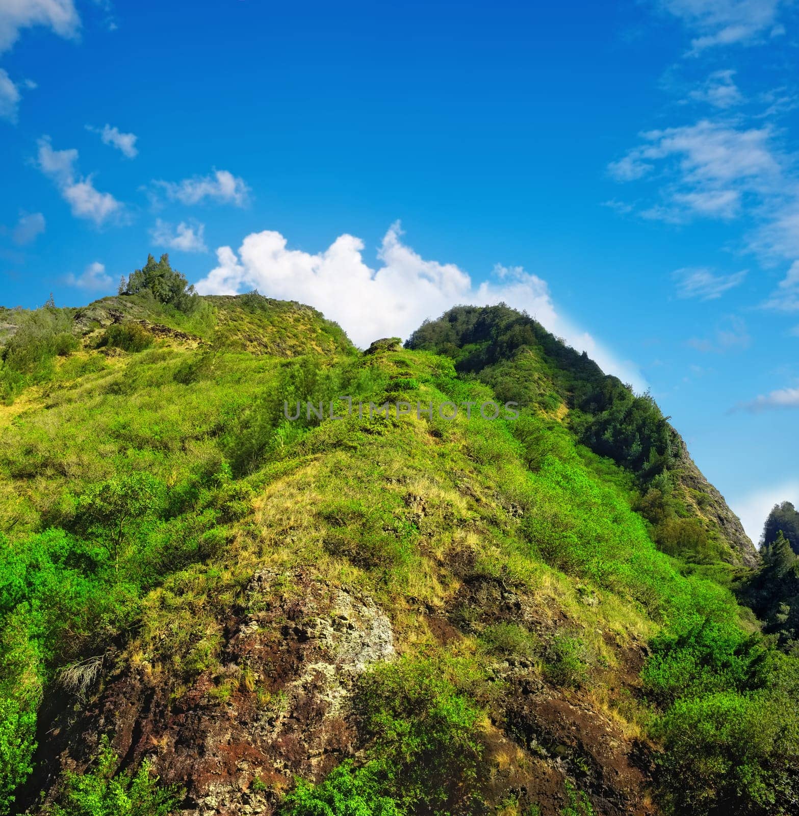 Mountain, green and natural landscape with blue sky, summer and calm clouds on peak at travel location. Nature, cliff and sustainable environment with earth, forest and tropical holiday destination.