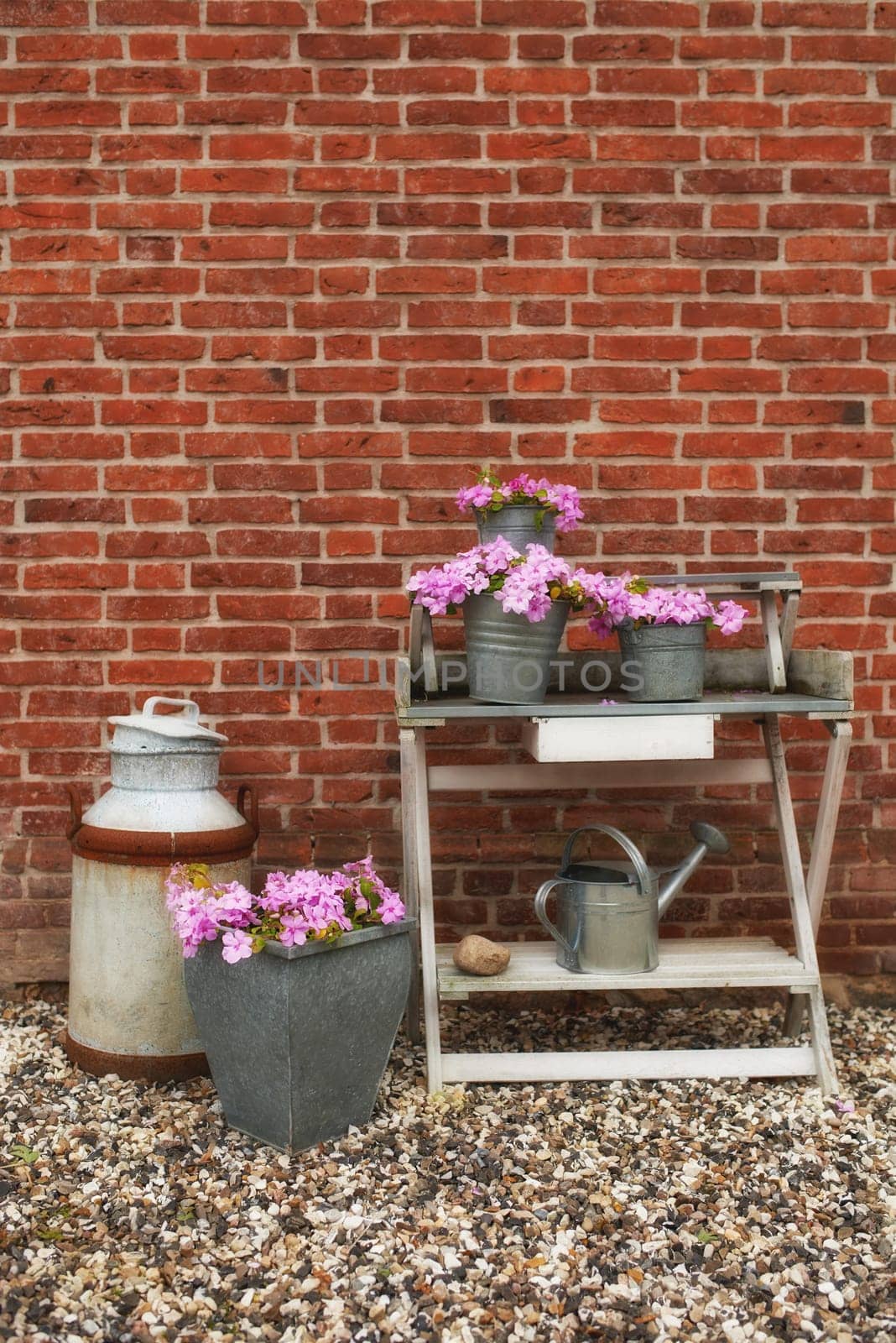 Spring, nature and garden with flower pot on shelf by brick wall, countryside and rural for plants. House, backyard and environment for growth, still life and container with rust and watering can by YuriArcurs