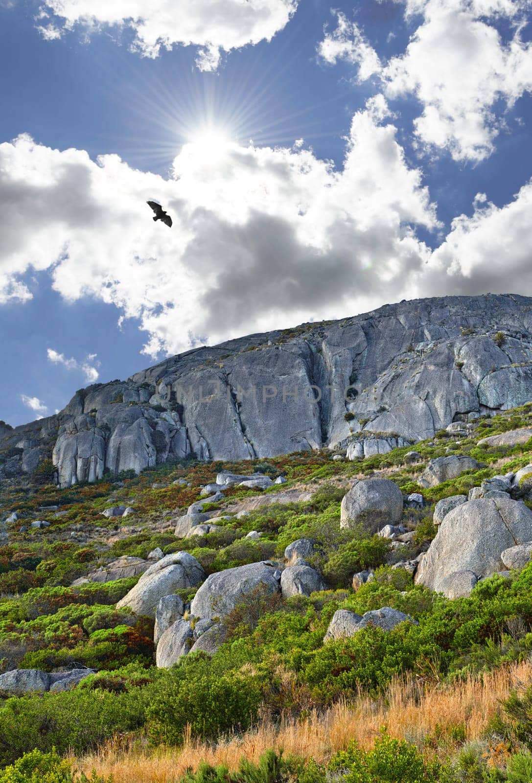 Mountain, sun and natural landscape with cloudy sky, bird in flight and summer peak at travel location. Nature, cliff and sustainable environment with earth, rocks and bush at holiday destination.