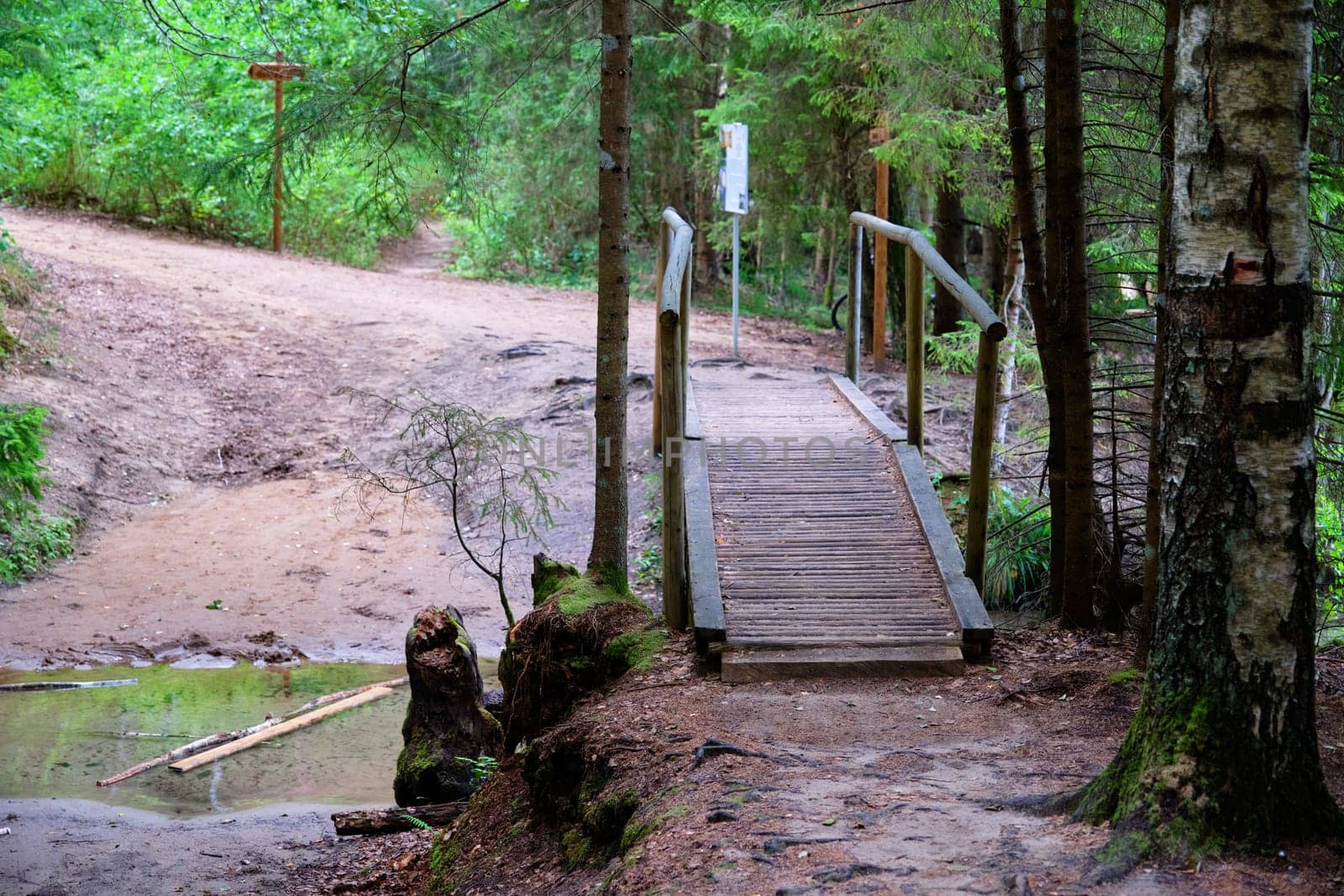 A wooden bridge over a small forest river