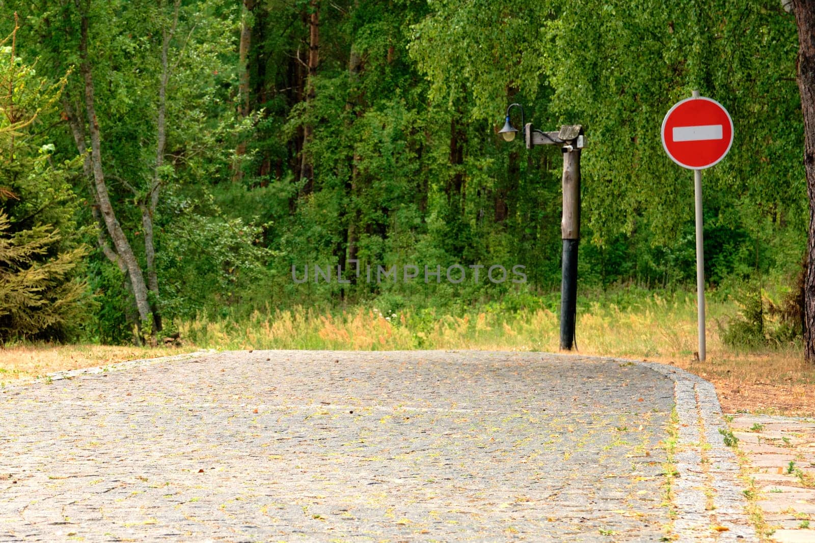 A road with a stop sign in front of the forest