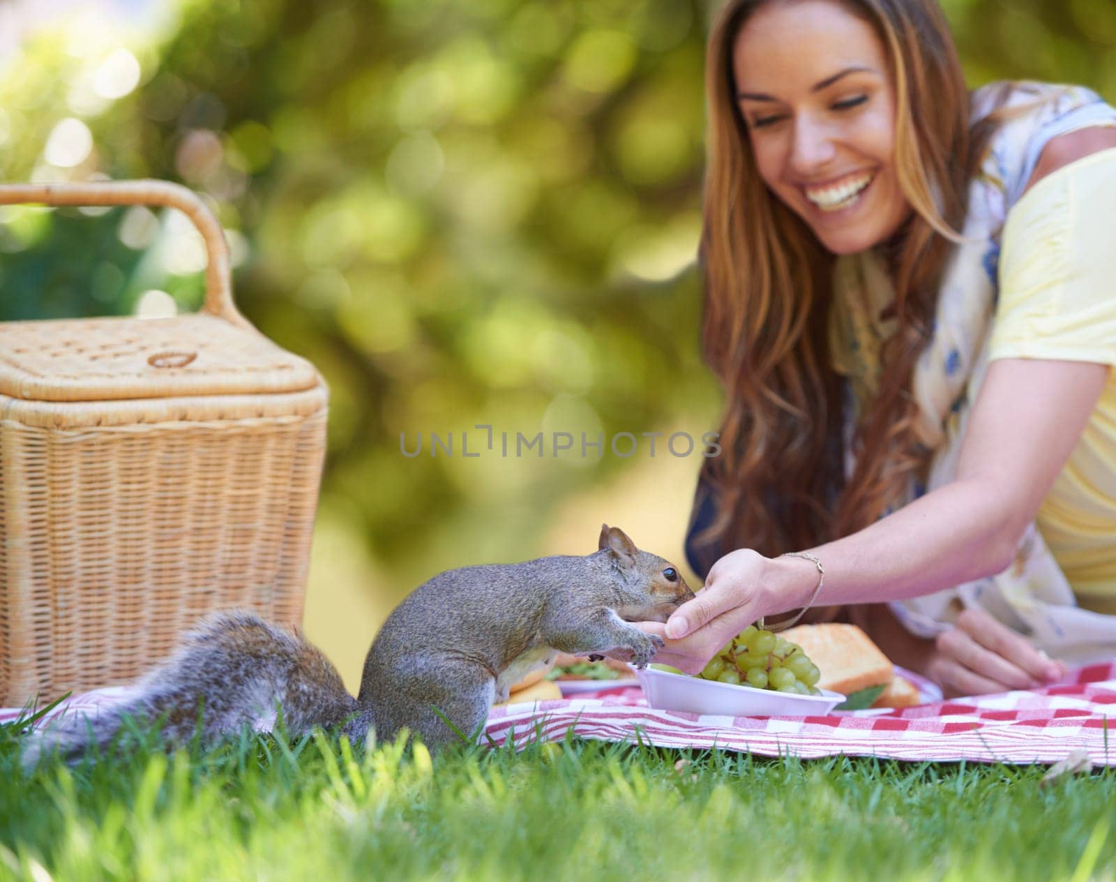 Woman, squirrel and happy with picnic in nature to relax, grass and park for peace outdoors in environment. Female person, chipmunk and lawn with basket for food, smile and calm with animal