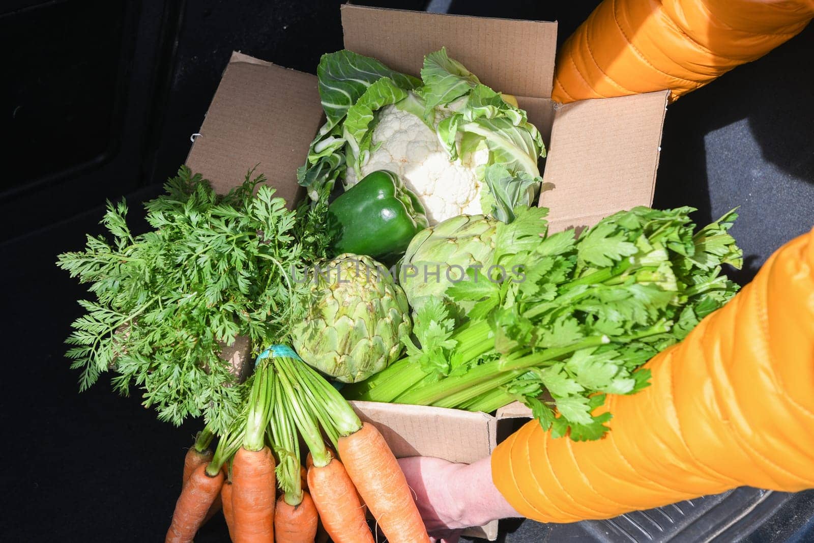 woman takes out a cardboard box with an assortment of fresh vegetables from the trunk of a car, organic food is the key to healthy eating, concept of cooking at home, high quality photo