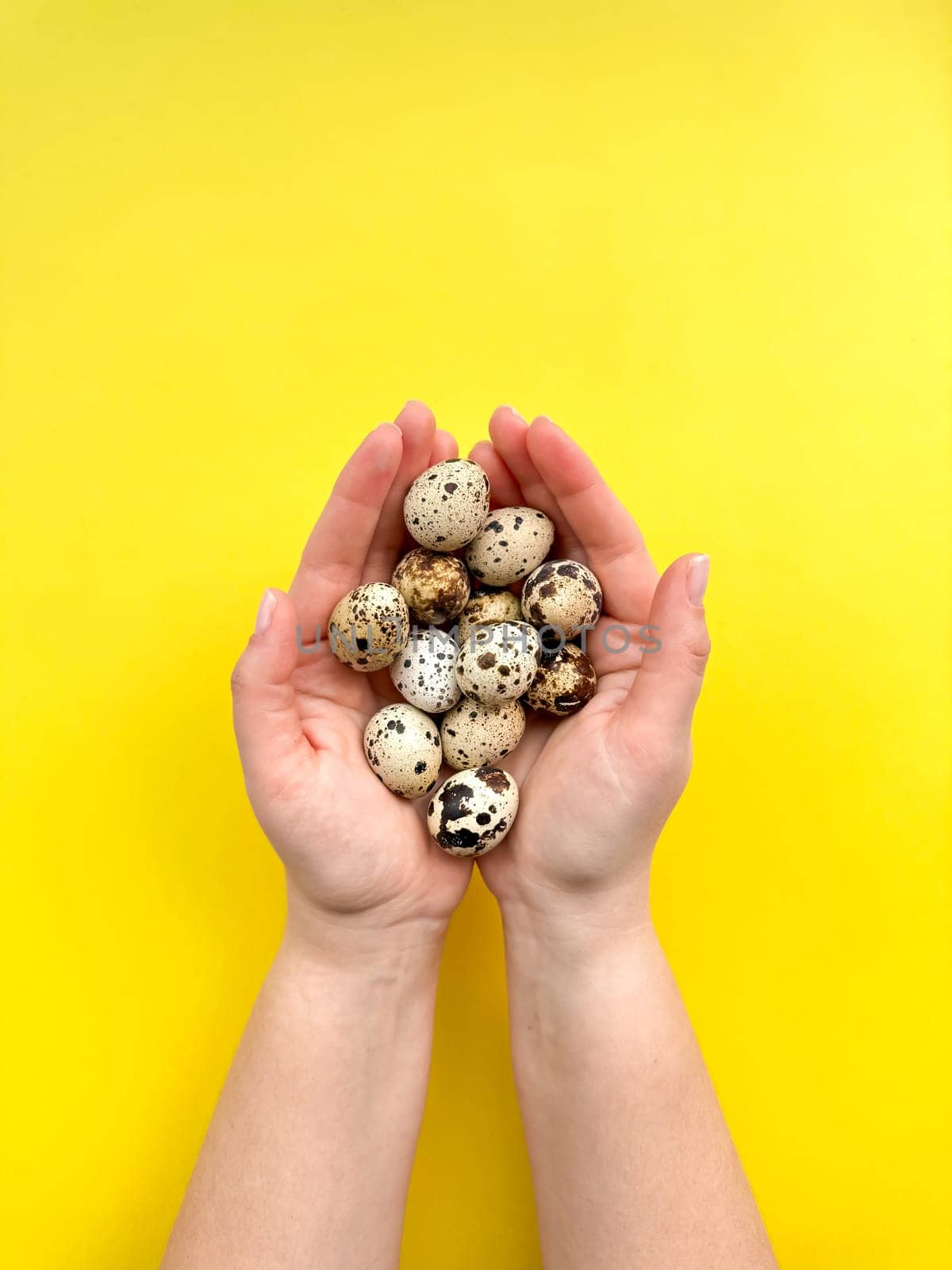Hands presenting quail eggs against vibrant yellow background, depicting concepts of organic produce and Easter decorations with space for text. by Lunnica