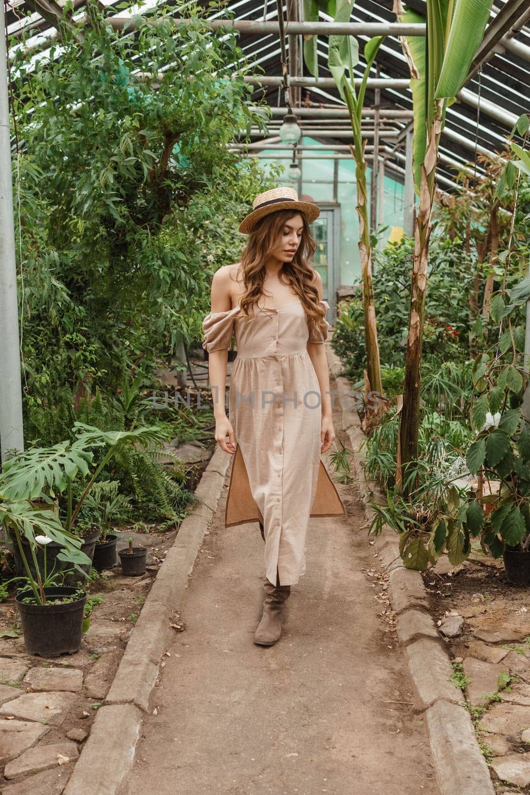 A beautiful young woman takes care of plants in a greenhouse. The concept of gardening and an eco-friendly lifestyle