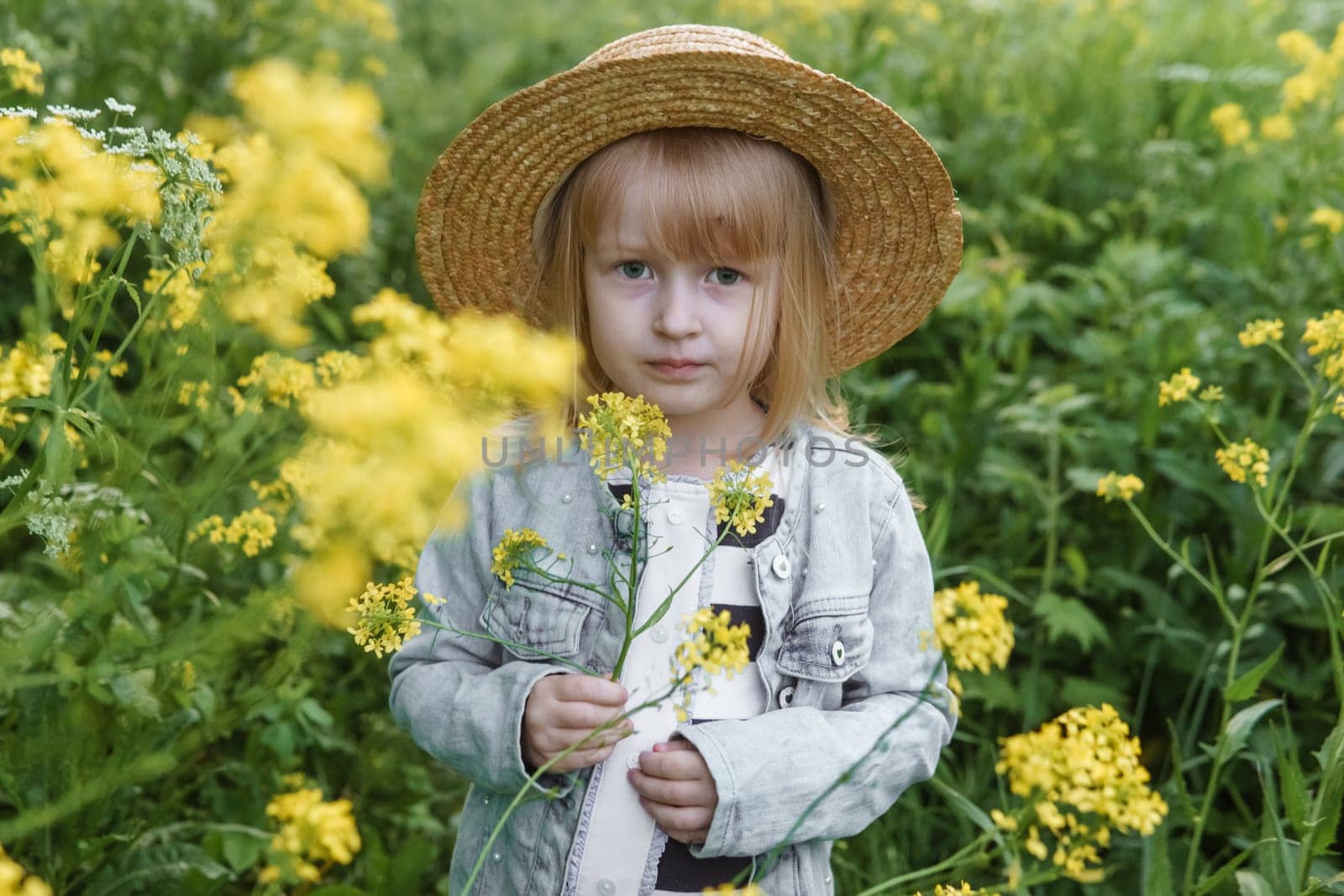 Blonde girl in a field with yellow flowers. A girl in a straw hat is picking flowers in a field. A field with rapeseed. by Annu1tochka