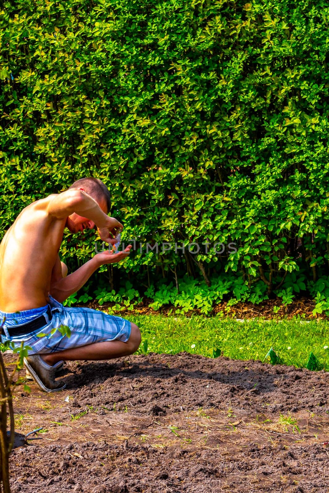 Young man working in the garden beds in Leherheide Bremerhaven Bremen Germany.