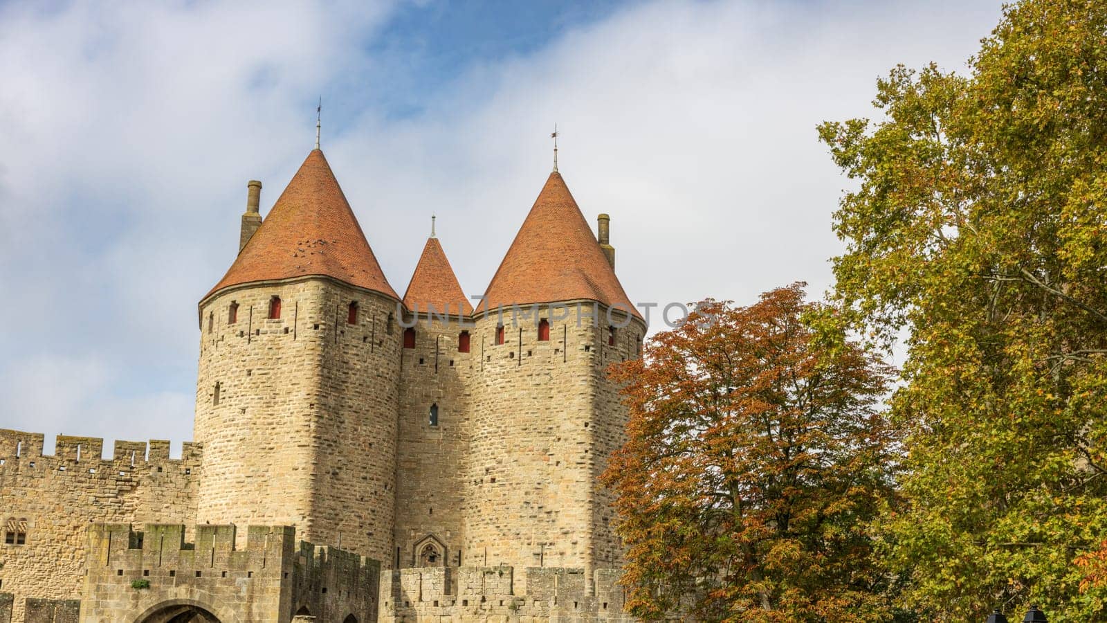 Castle of Carcassonne in France by vladispas