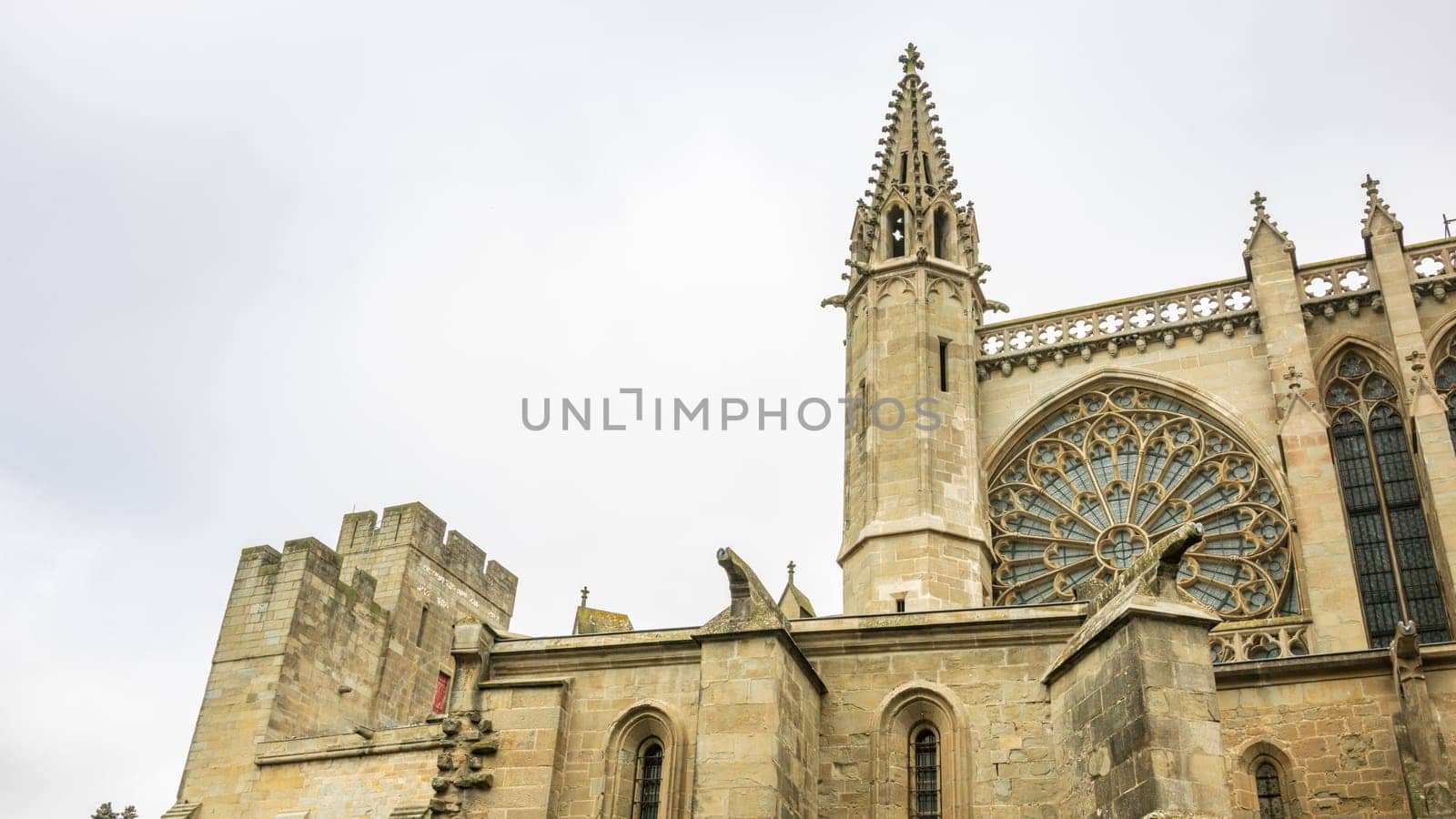 Castle of Carcassonne in France by vladispas